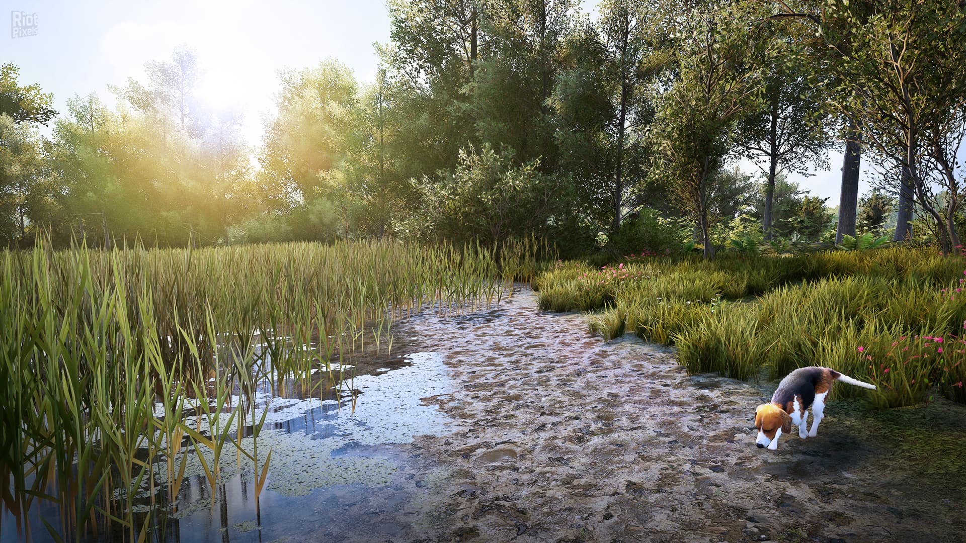 Hunting Simulator 2: Elite Edition – v1.0.0.311.66949 + 4 DLCs screenshot 2