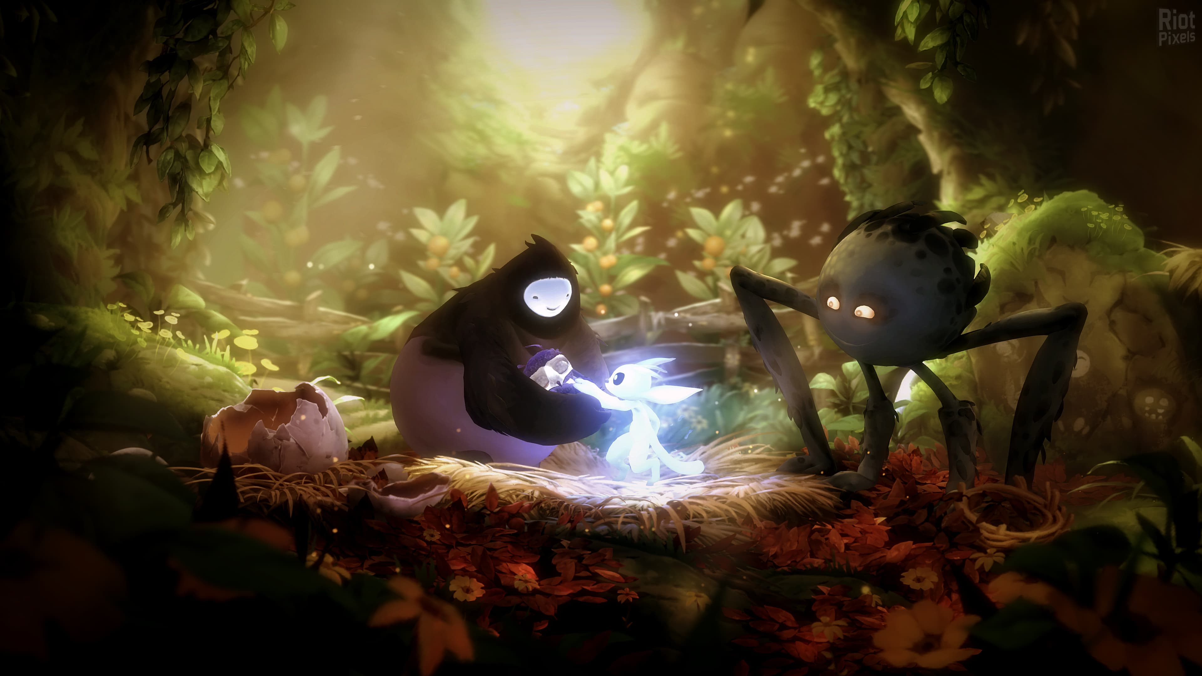 Ori and the Will of the Wisps screenshot 2