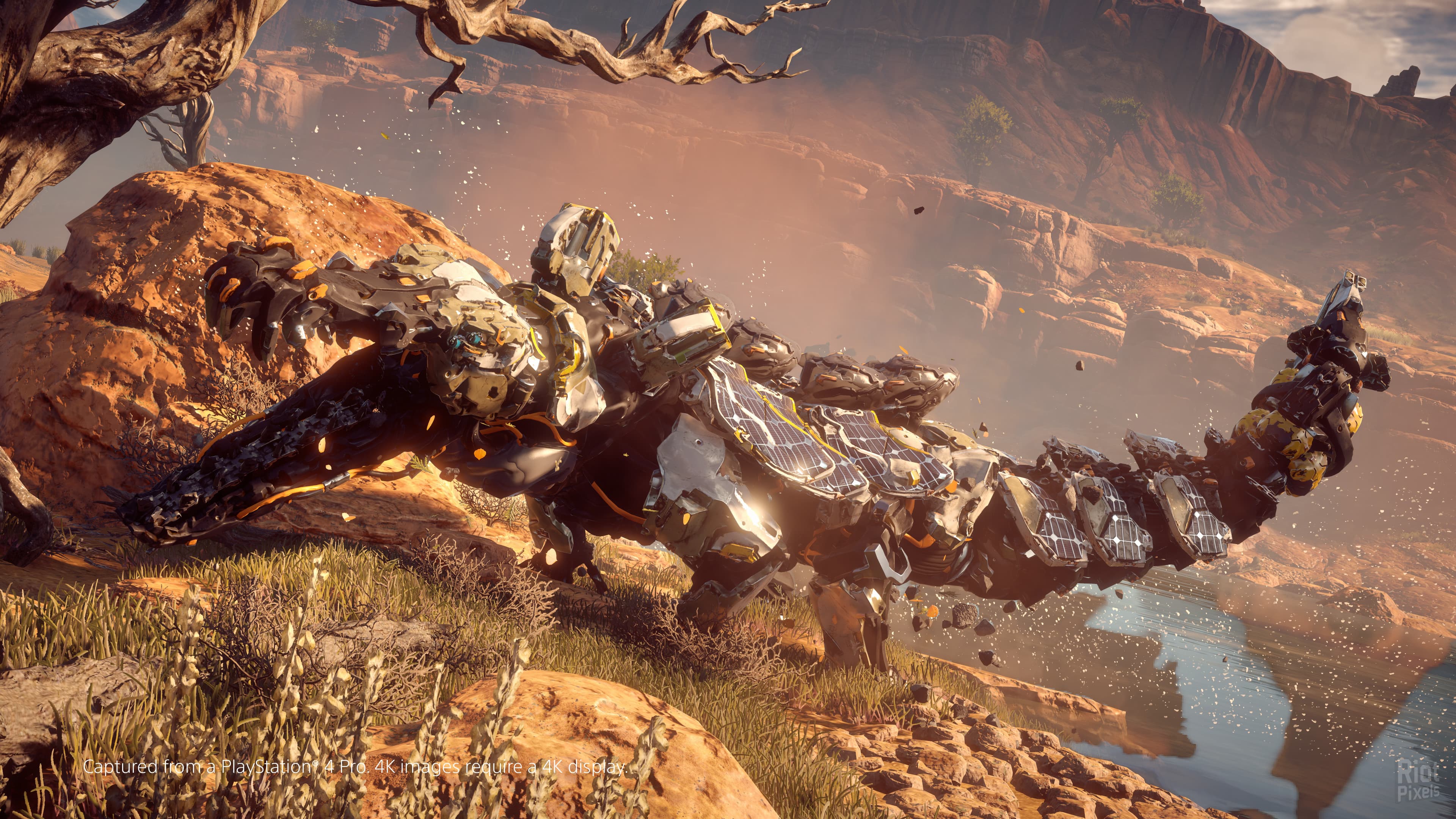 Horizon: Zero Dawn – Complete Edition – v1.11.2 (GOG/Epic/Steam) + VR Mod + Bonus OST screenshot 4