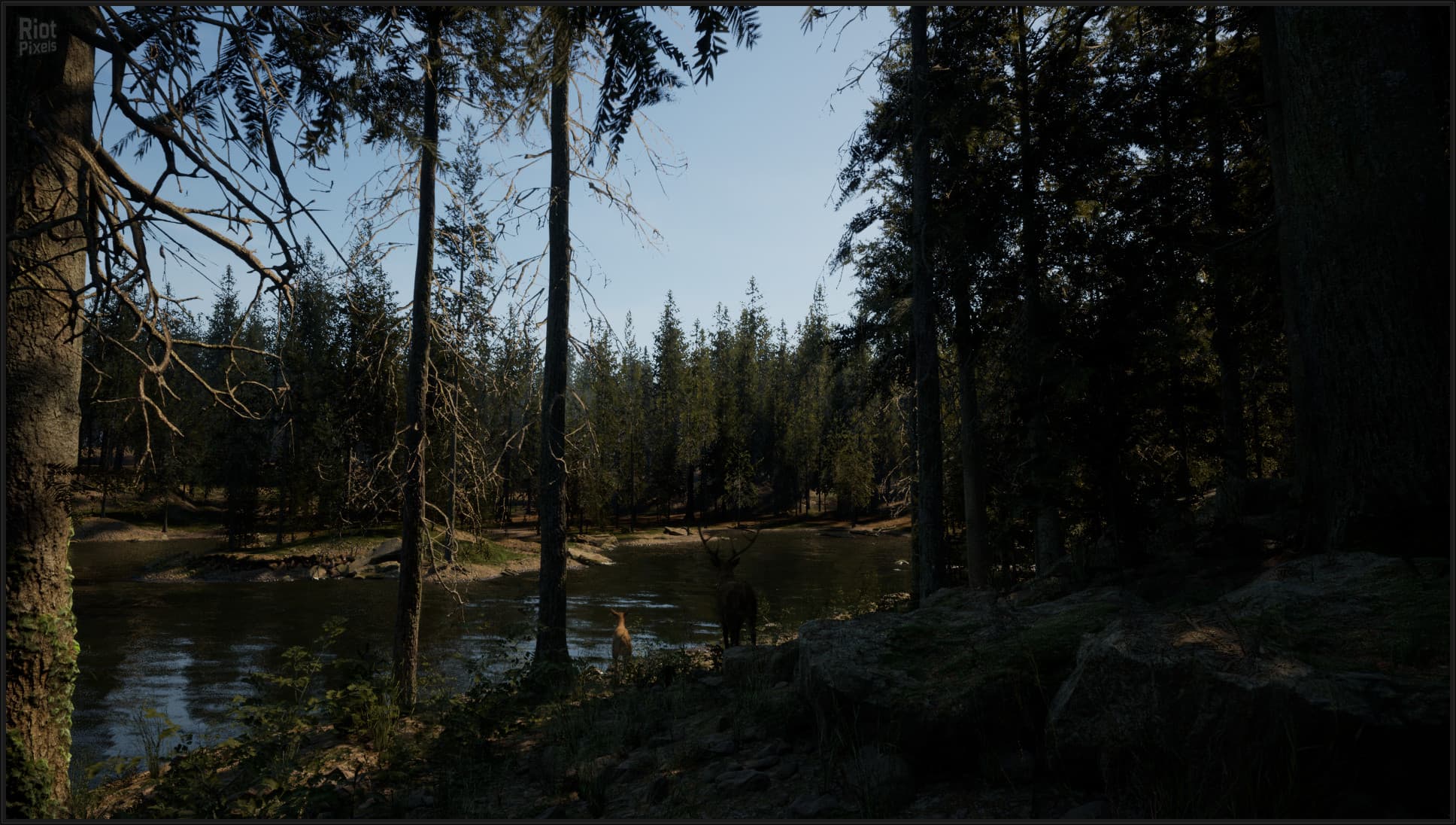 Evergreen: Mountain Life Simulator – v1.0.0 (Release) + Windows 7 Fix screenshot 6