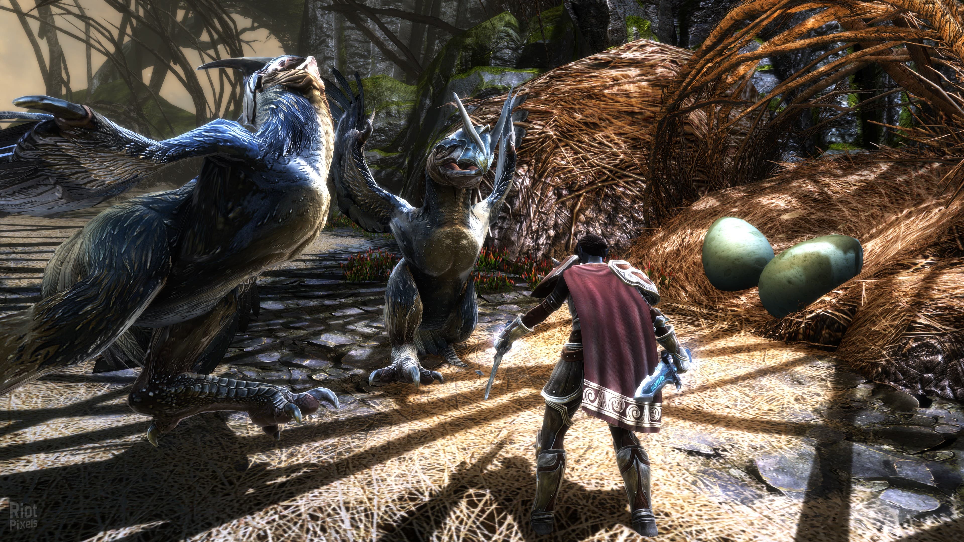 Kingdoms of Amalur: Re-Reckoning – FATE Edition – Version CS:13925/Update 11 + DLC + Bonus OST screenshot 4