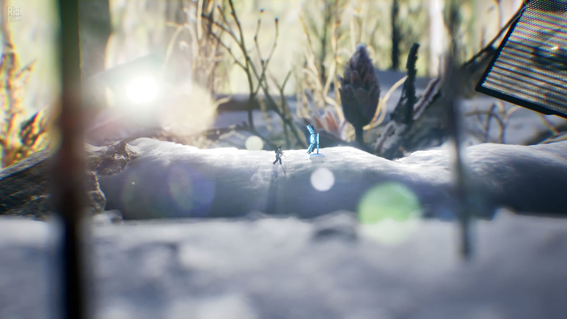 Big Earth screenshot 5