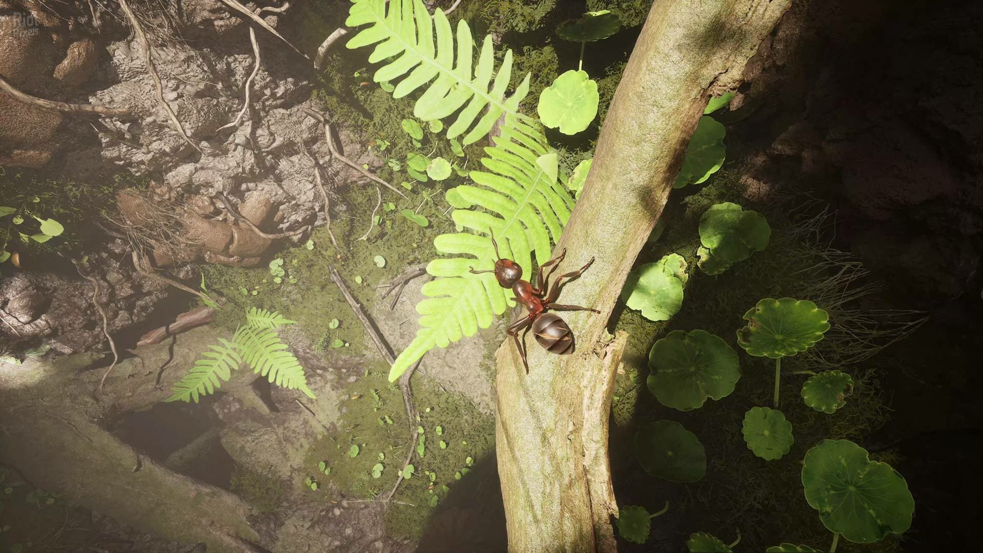 Empire of the Ants: Digital Deluxe Edition – v1.02.19732 + Bonus Content + Windows 7 Fix screenshot 6