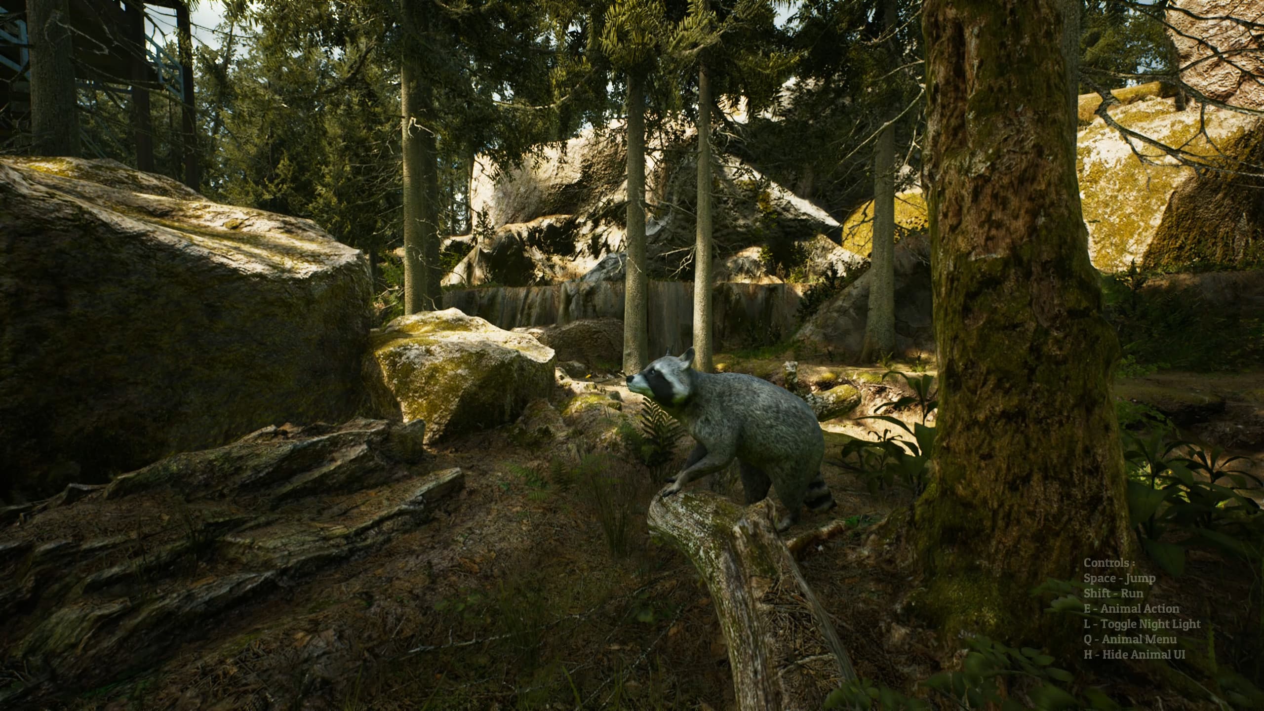 Morels: The Hunt screenshot 4