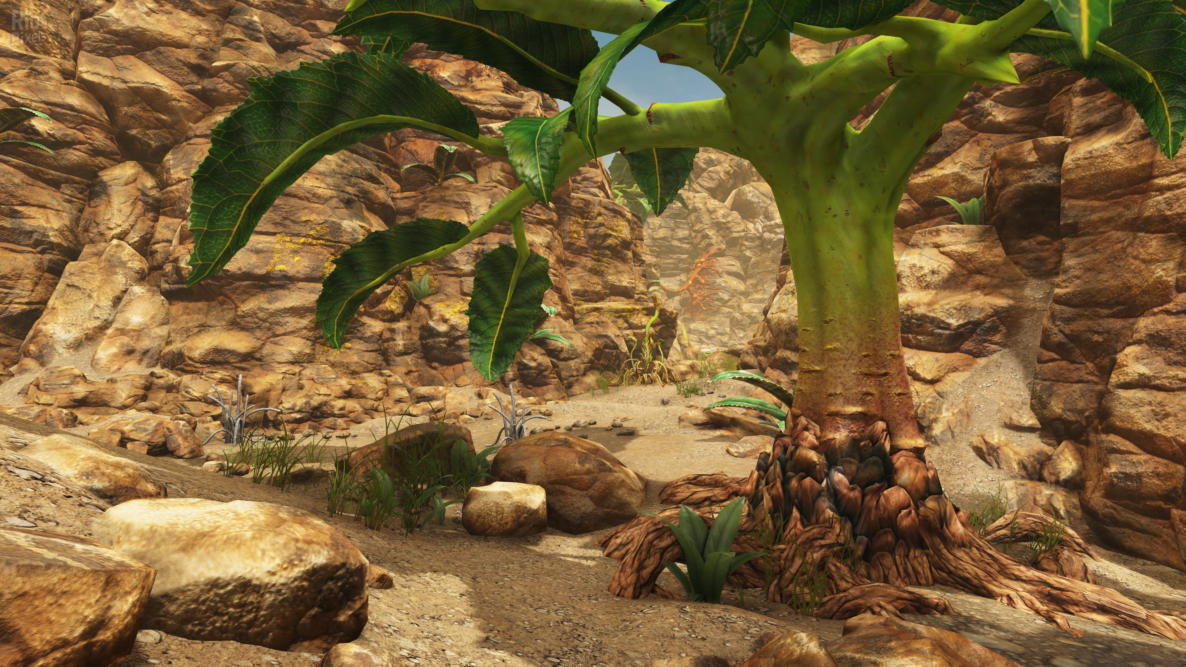 Claire de Lune screenshot 5