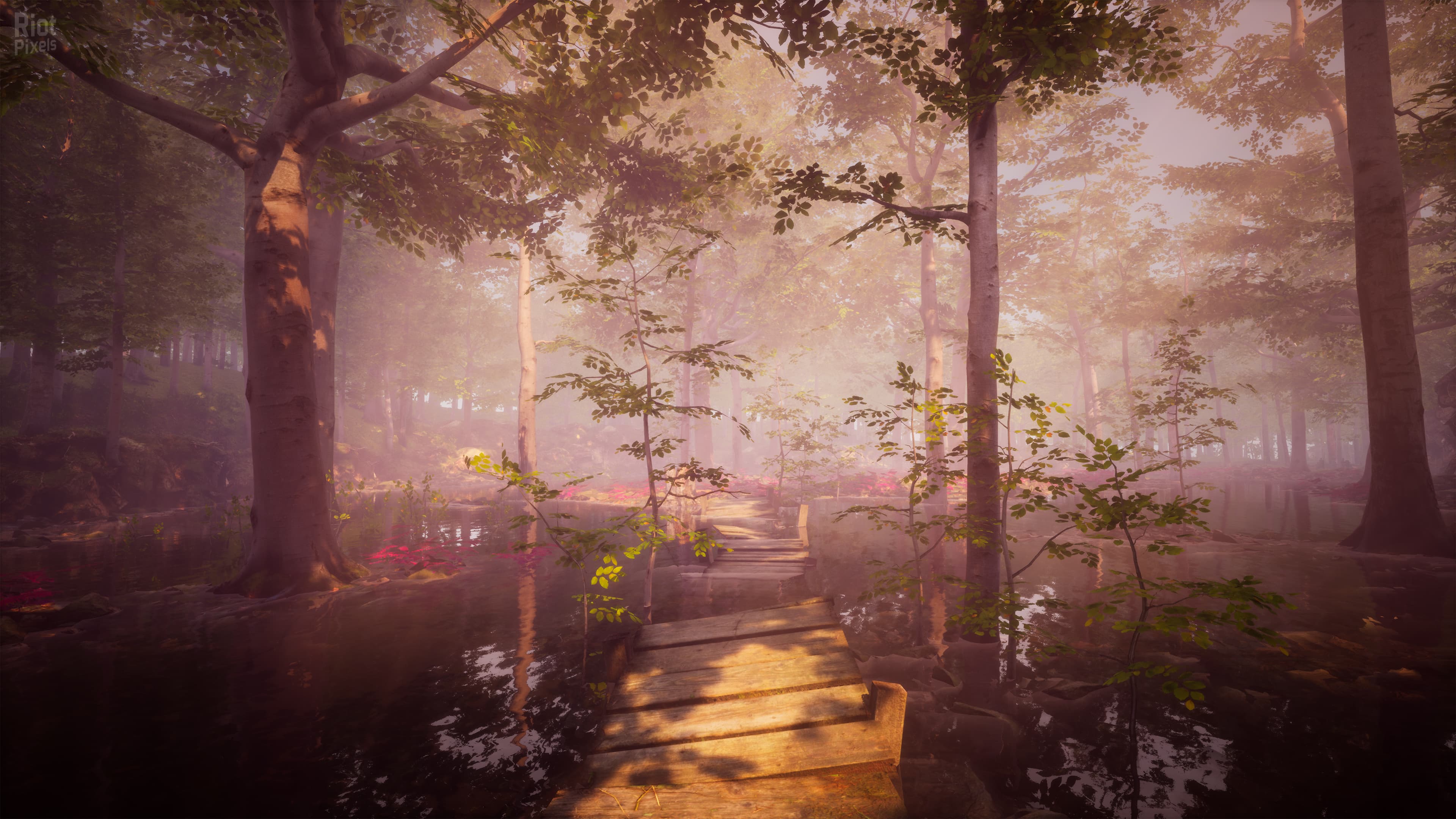 The Fabled Woods screenshot 3