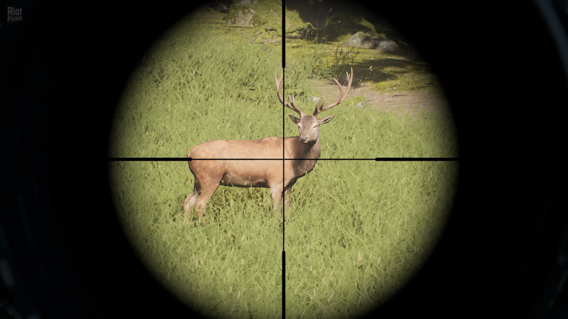 Project Hunt: Hunter’s Collection – Build 23404699 + 5 DLCs screenshot 6
