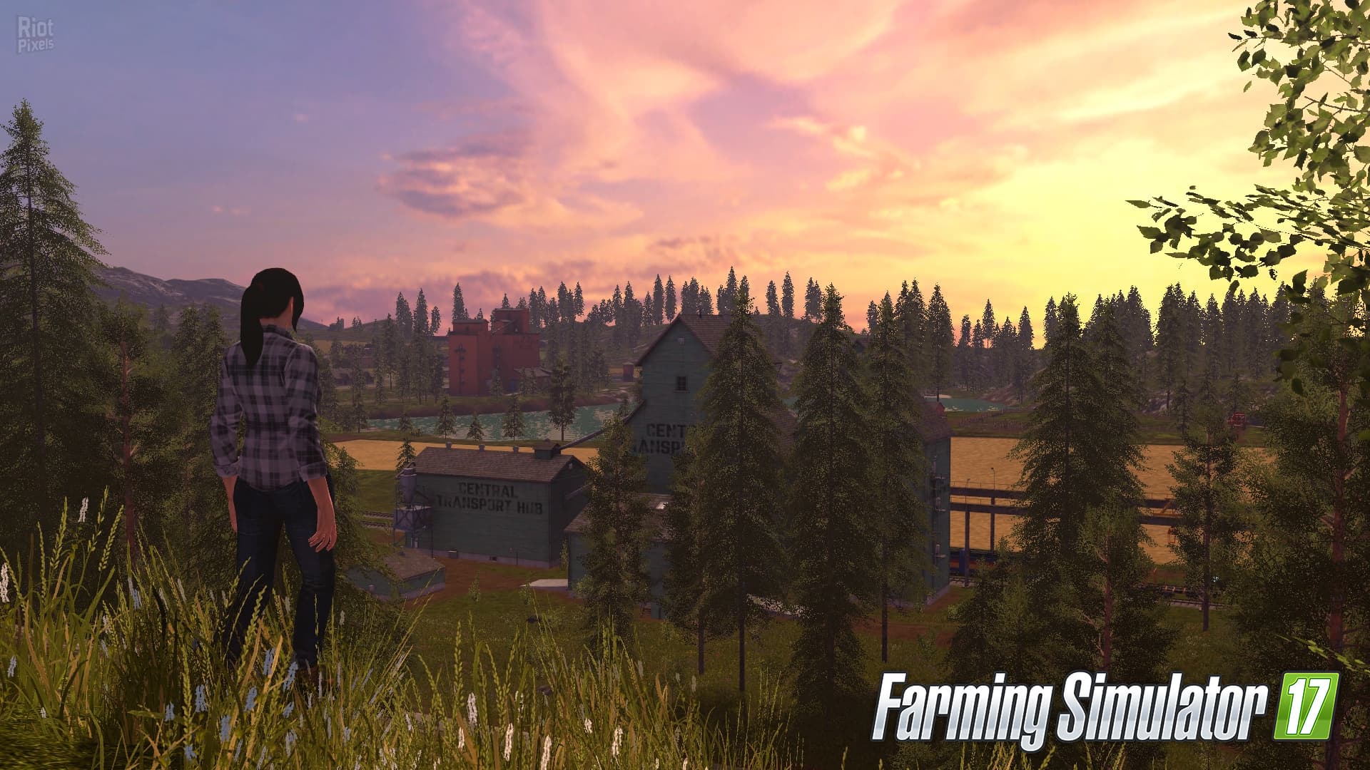 Farming Simulator 17  – v1.2.1 + 5 DLCs + 2 Mods screenshot 4