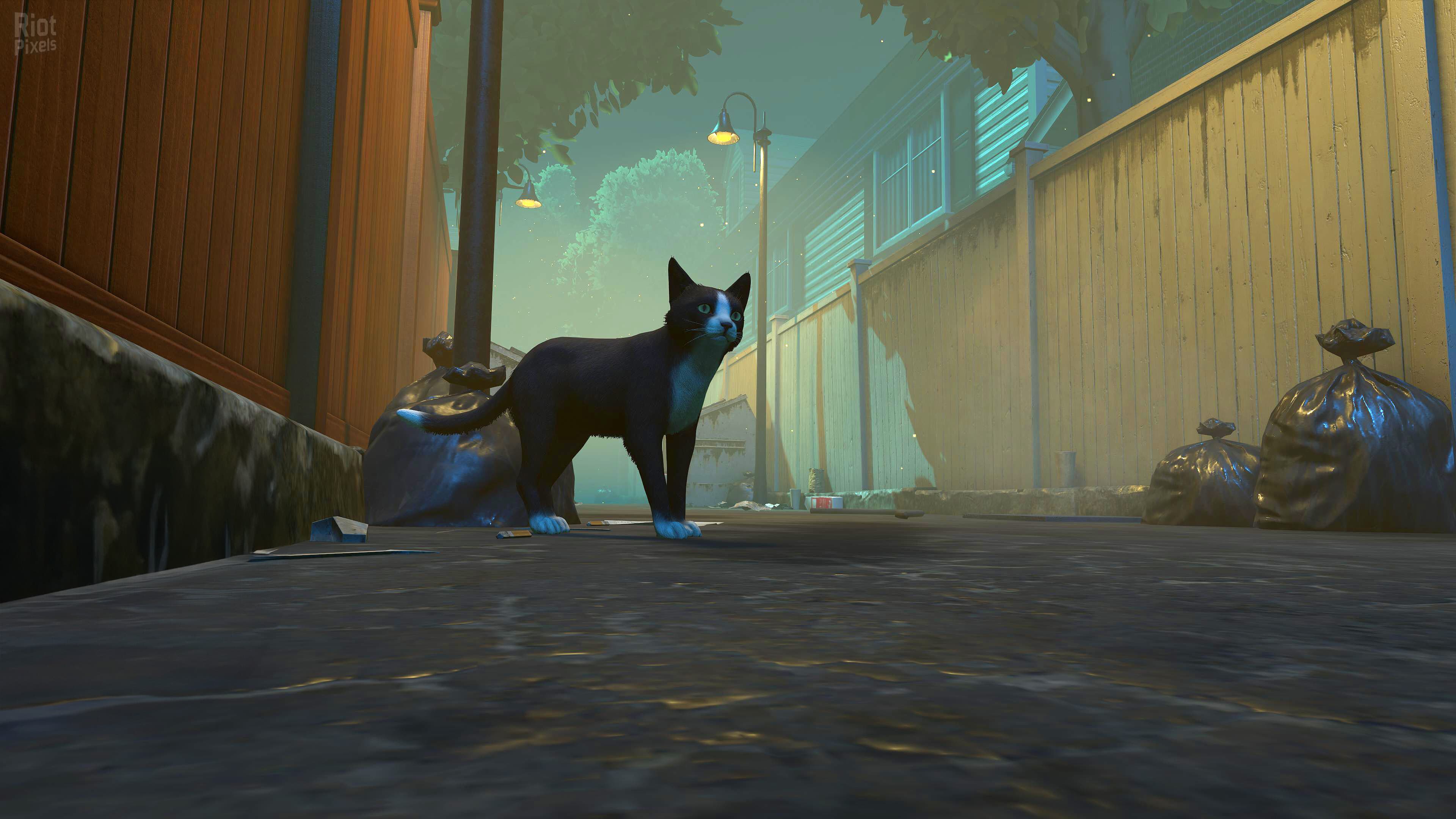 Copycat – Game & OST screenshot 6