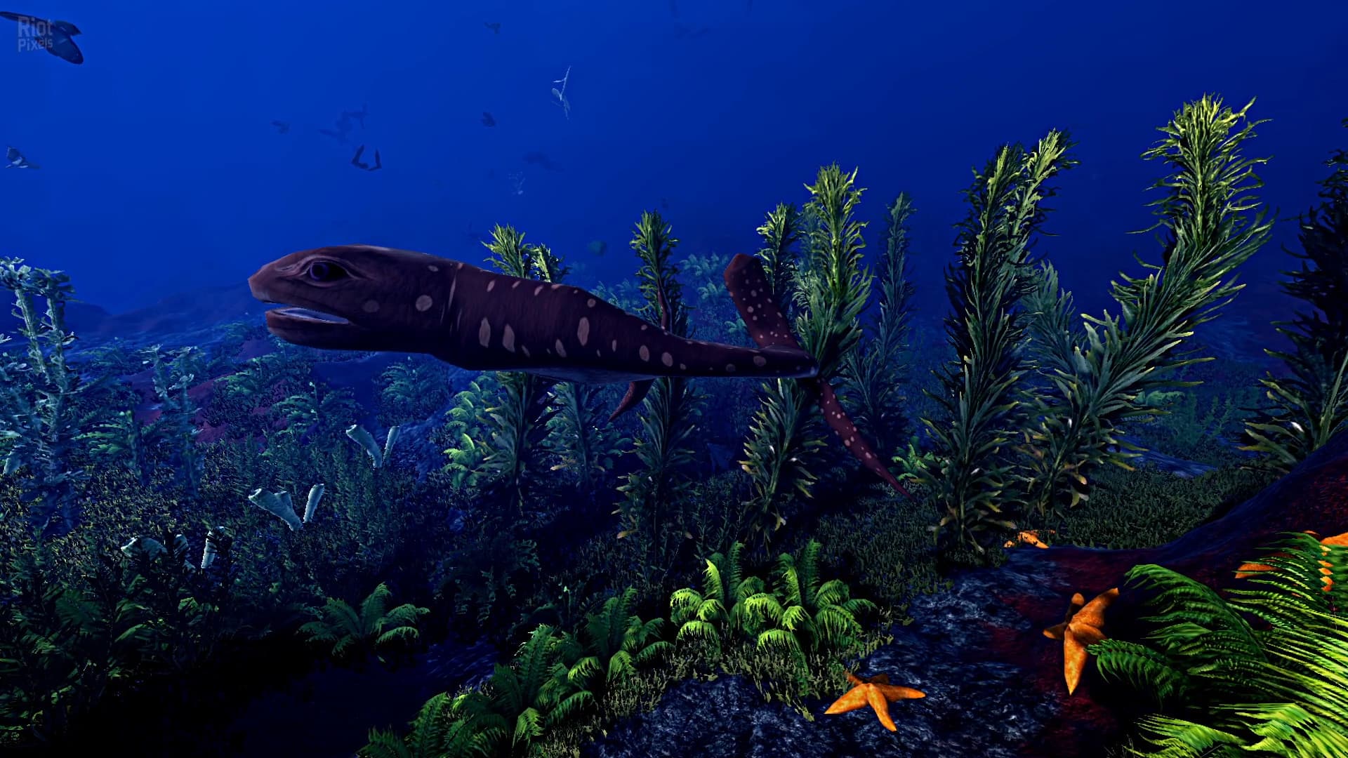 Ecosystem – v1.01 screenshot 4