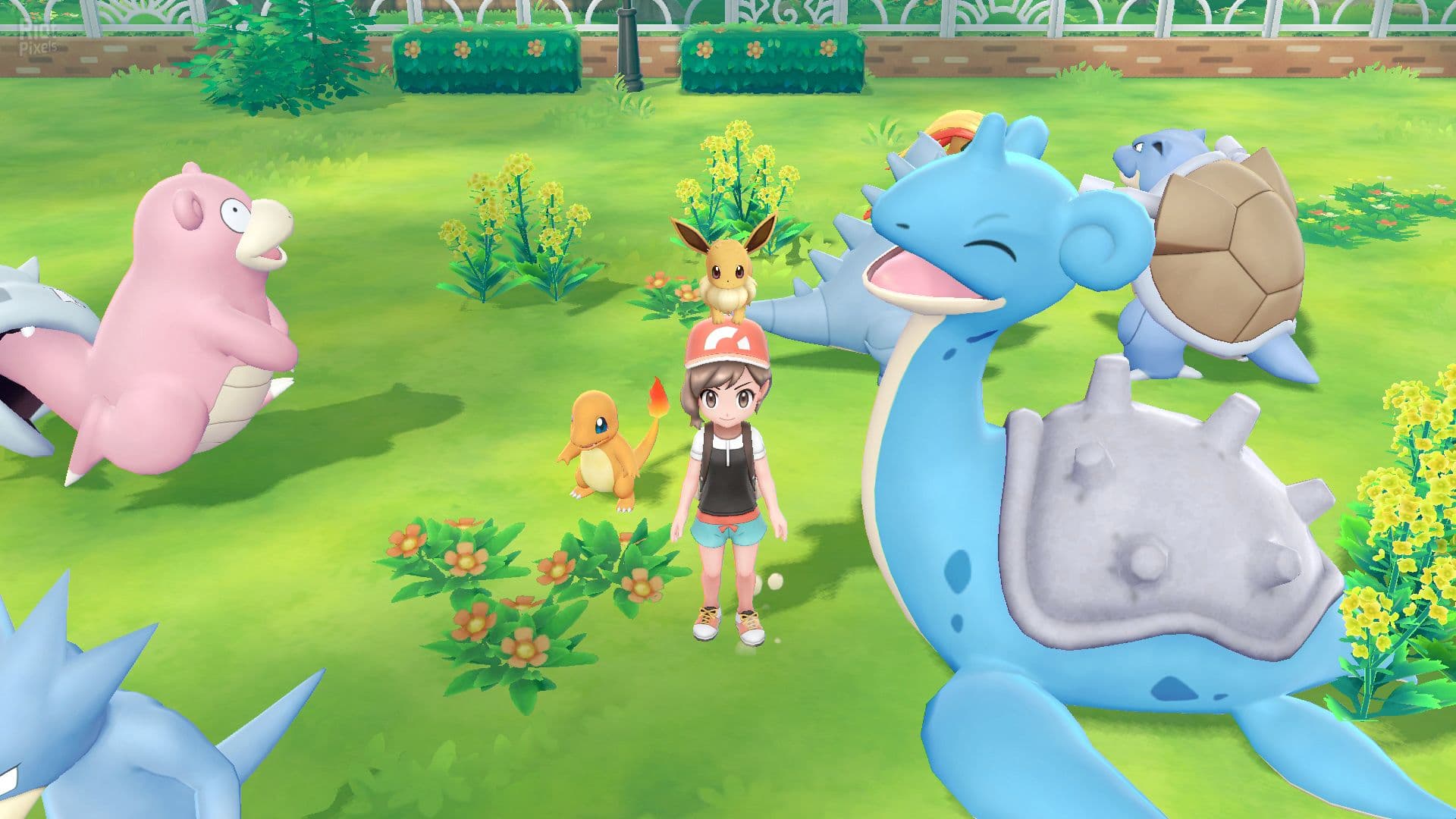 Pokemon: Let’s Go, Pikachu/Eevee! – v1.0.2 + Yuzu Emu for PC screenshot 3