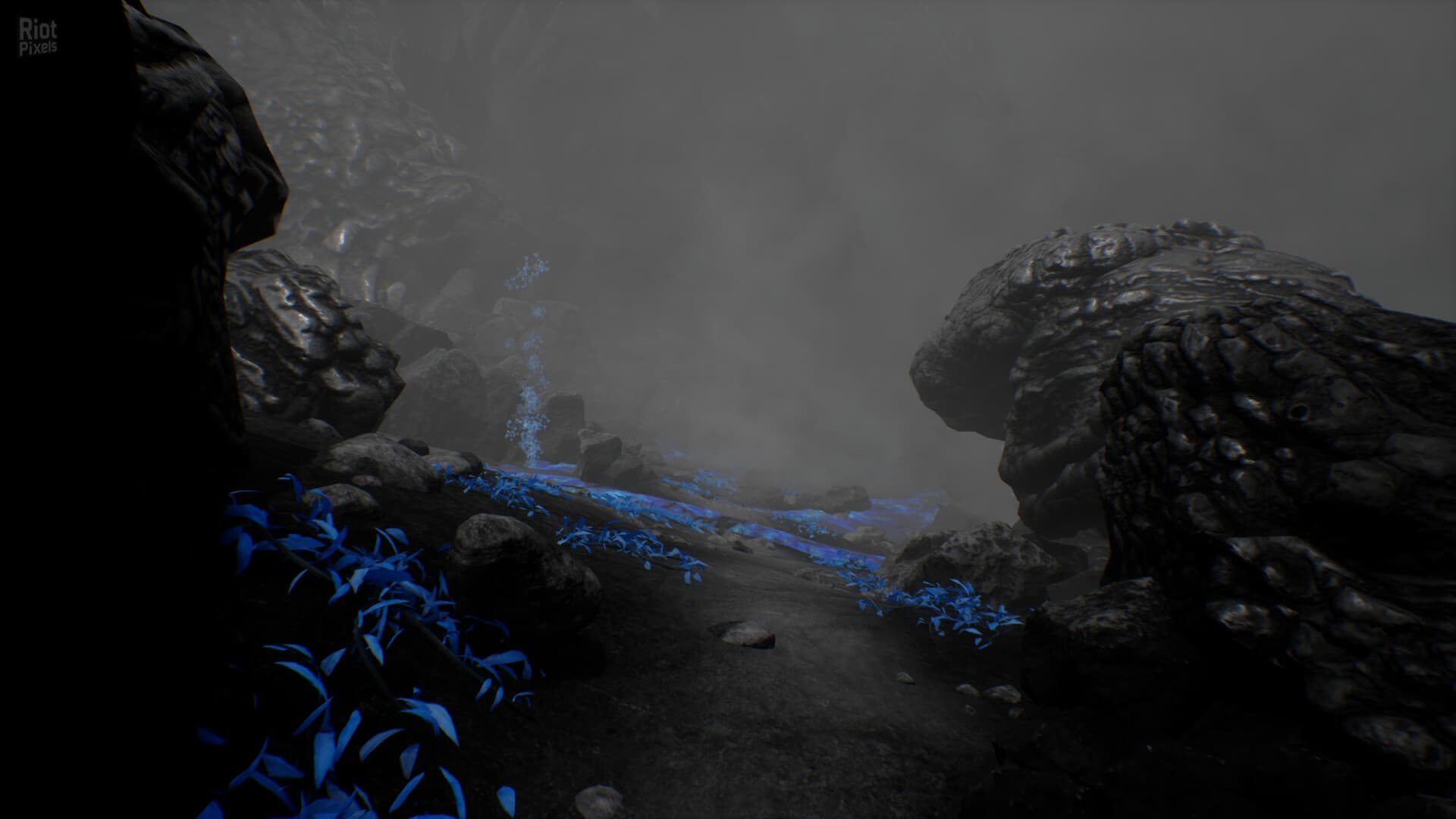 Rest screenshot 1