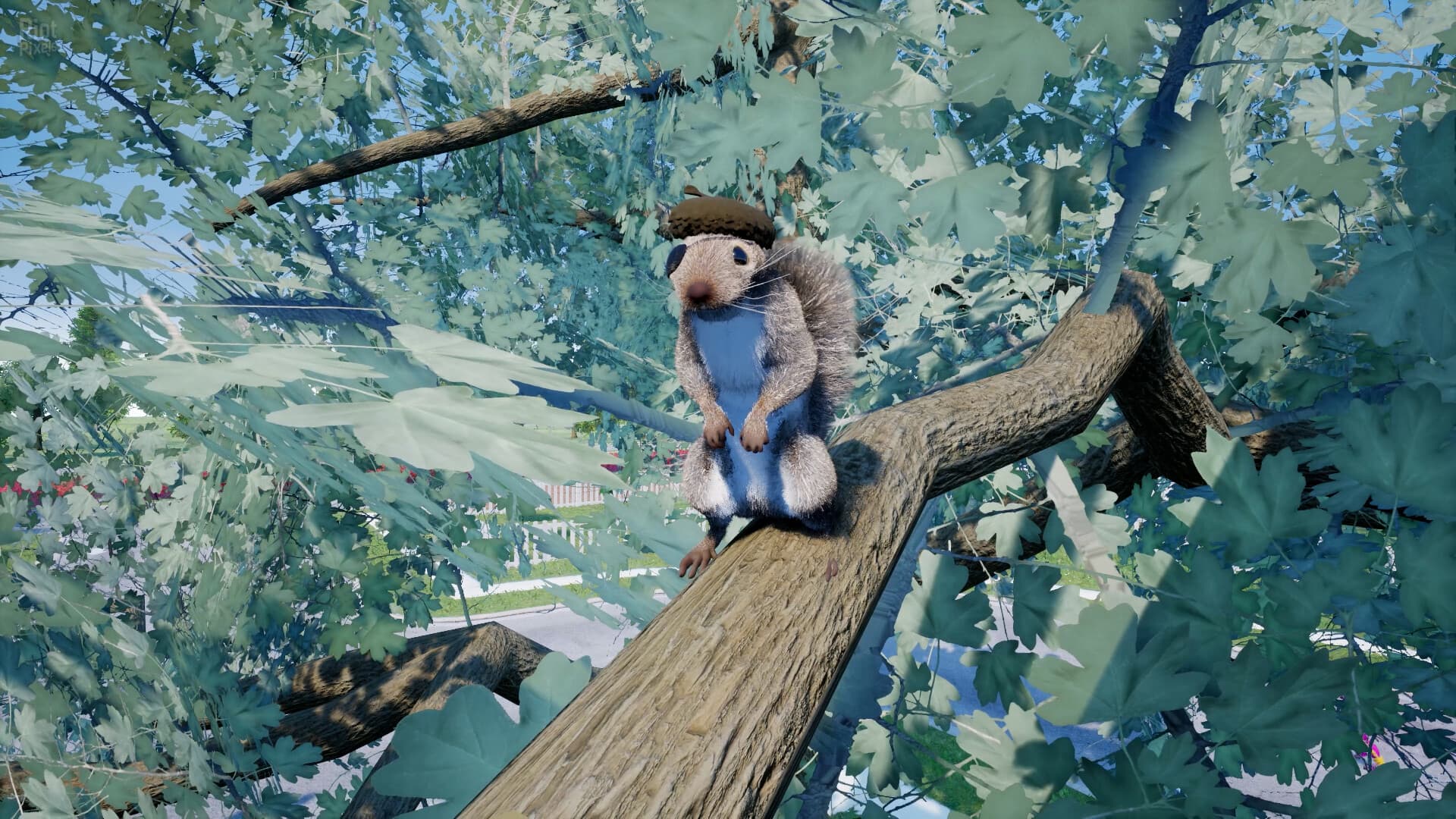 Squirrel with a Gun – v1.5.10.0 screenshot 5