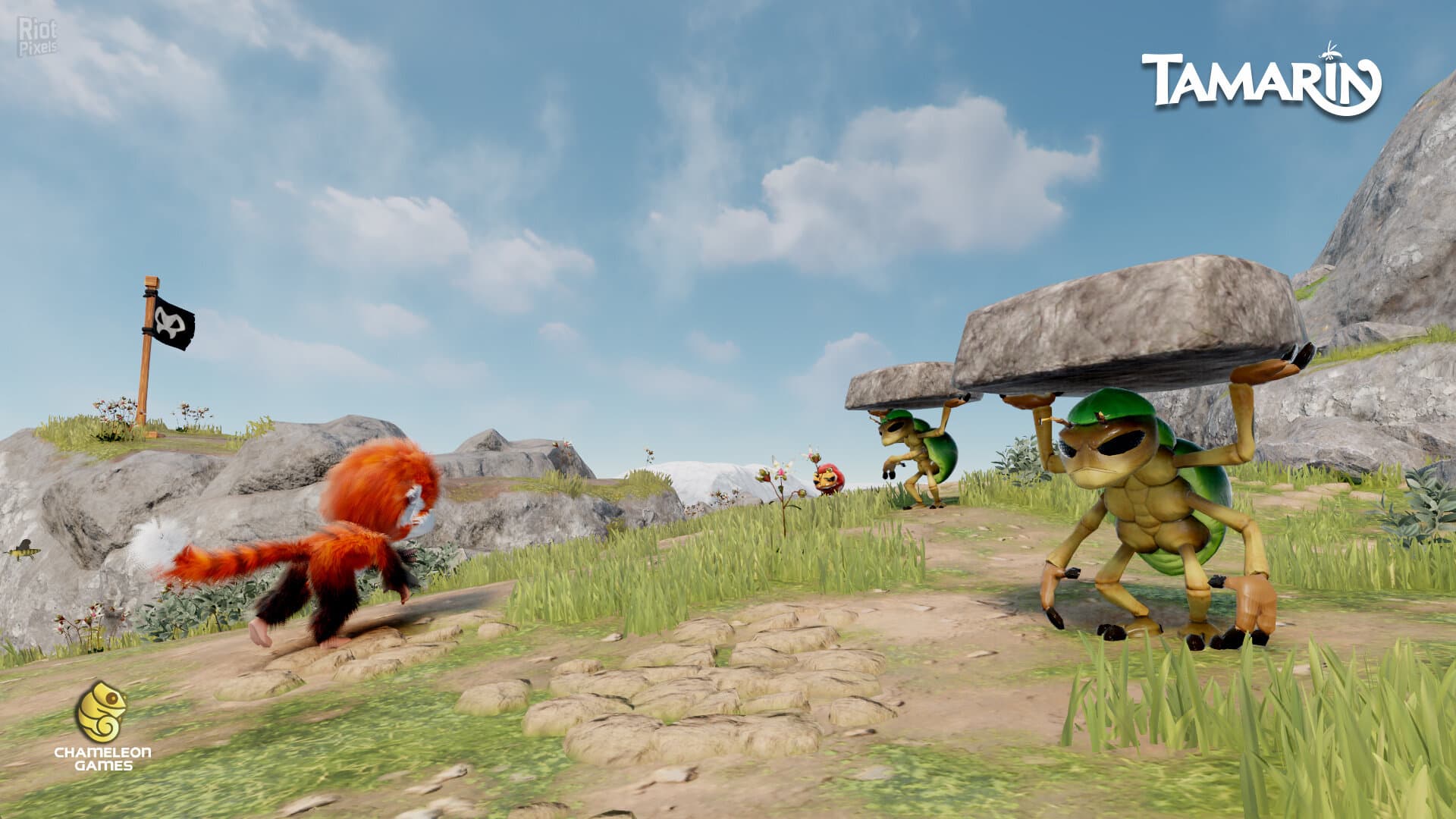 Tamarin screenshot 3