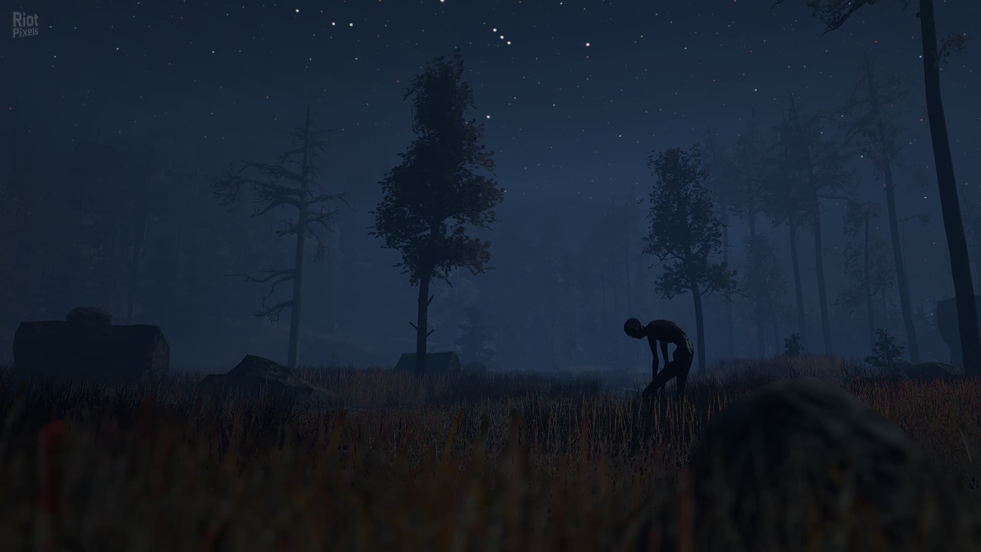 Through the Woods + HotFix screenshot 4