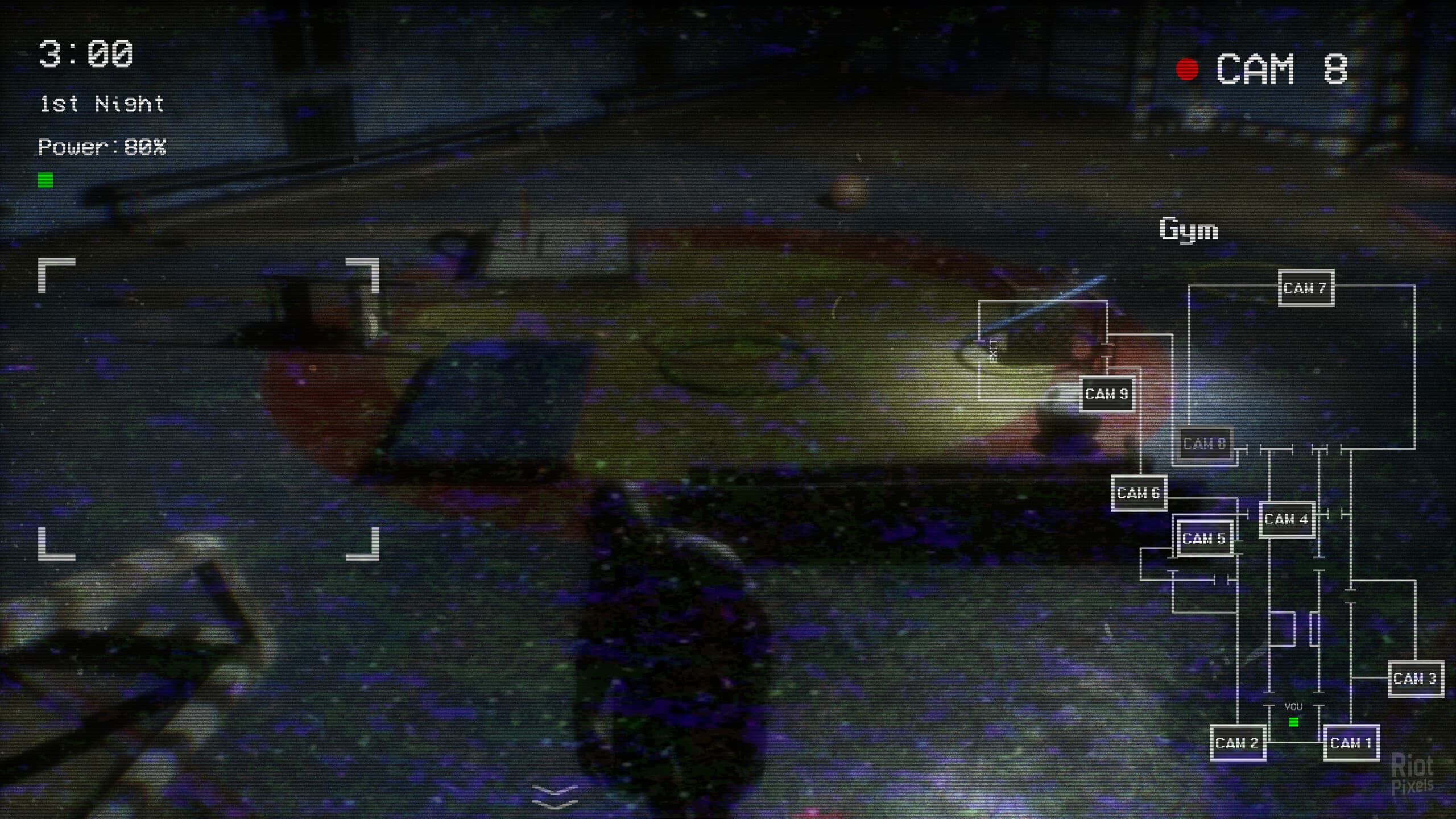 Gym Nights screenshot 2