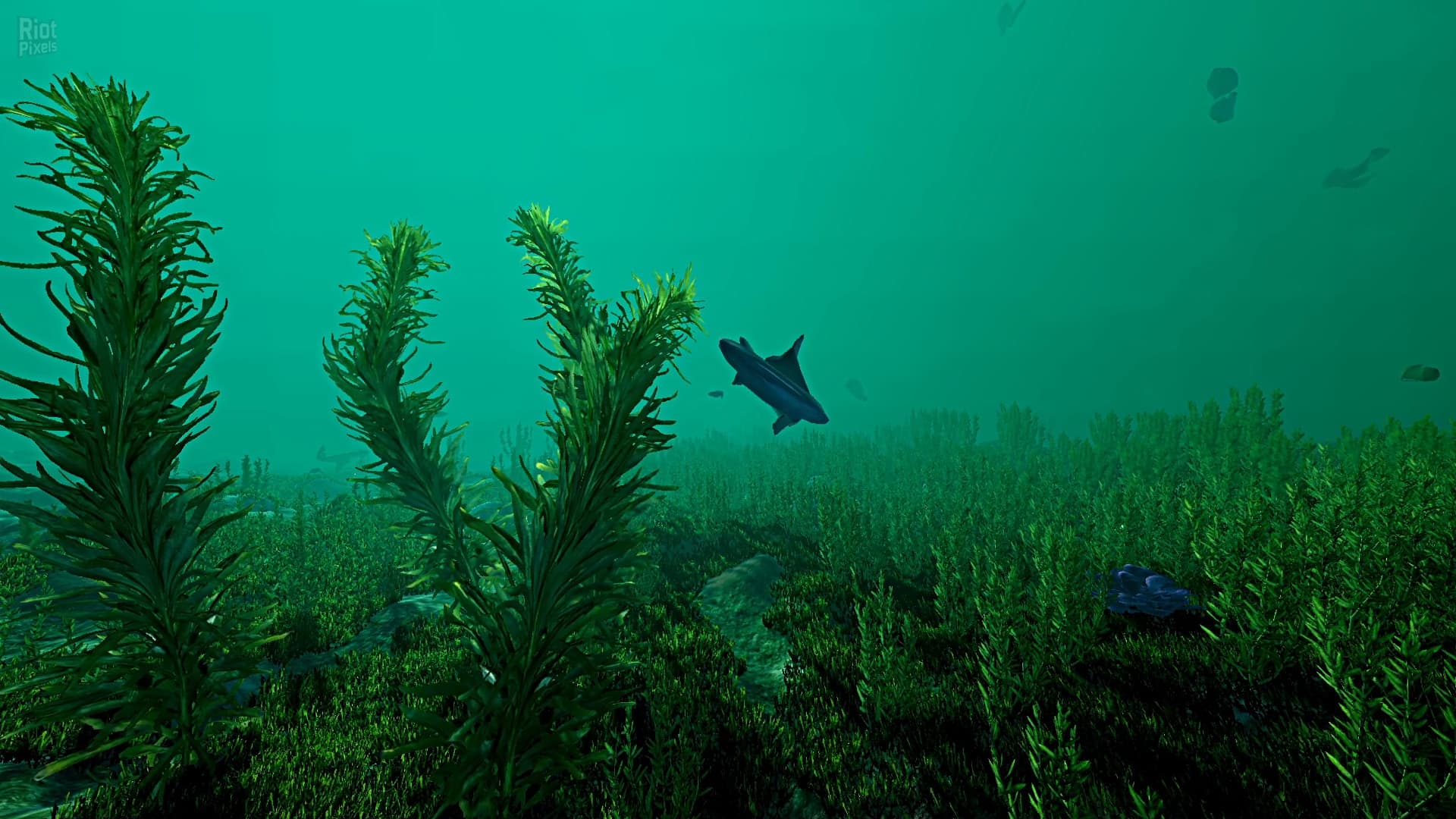 Ecosystem – v1.01 screenshot 6