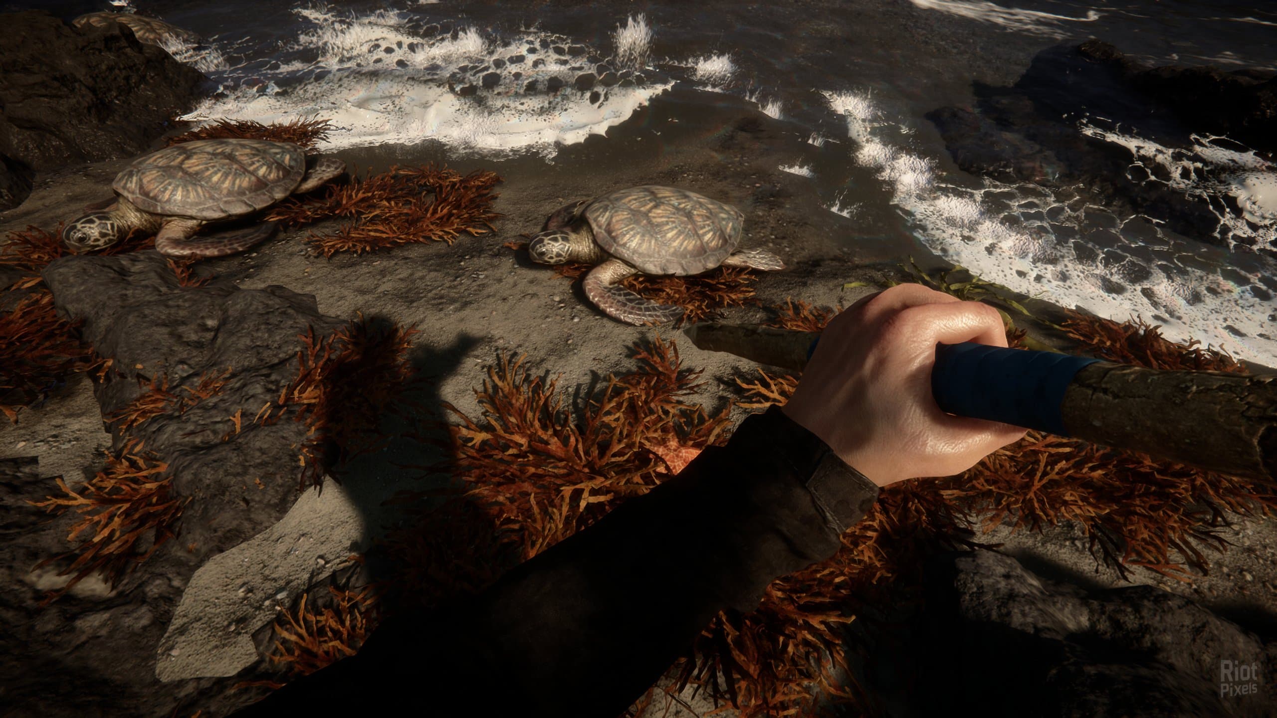 Sons of the Forest – v48738 + Multiplayer screenshot 6