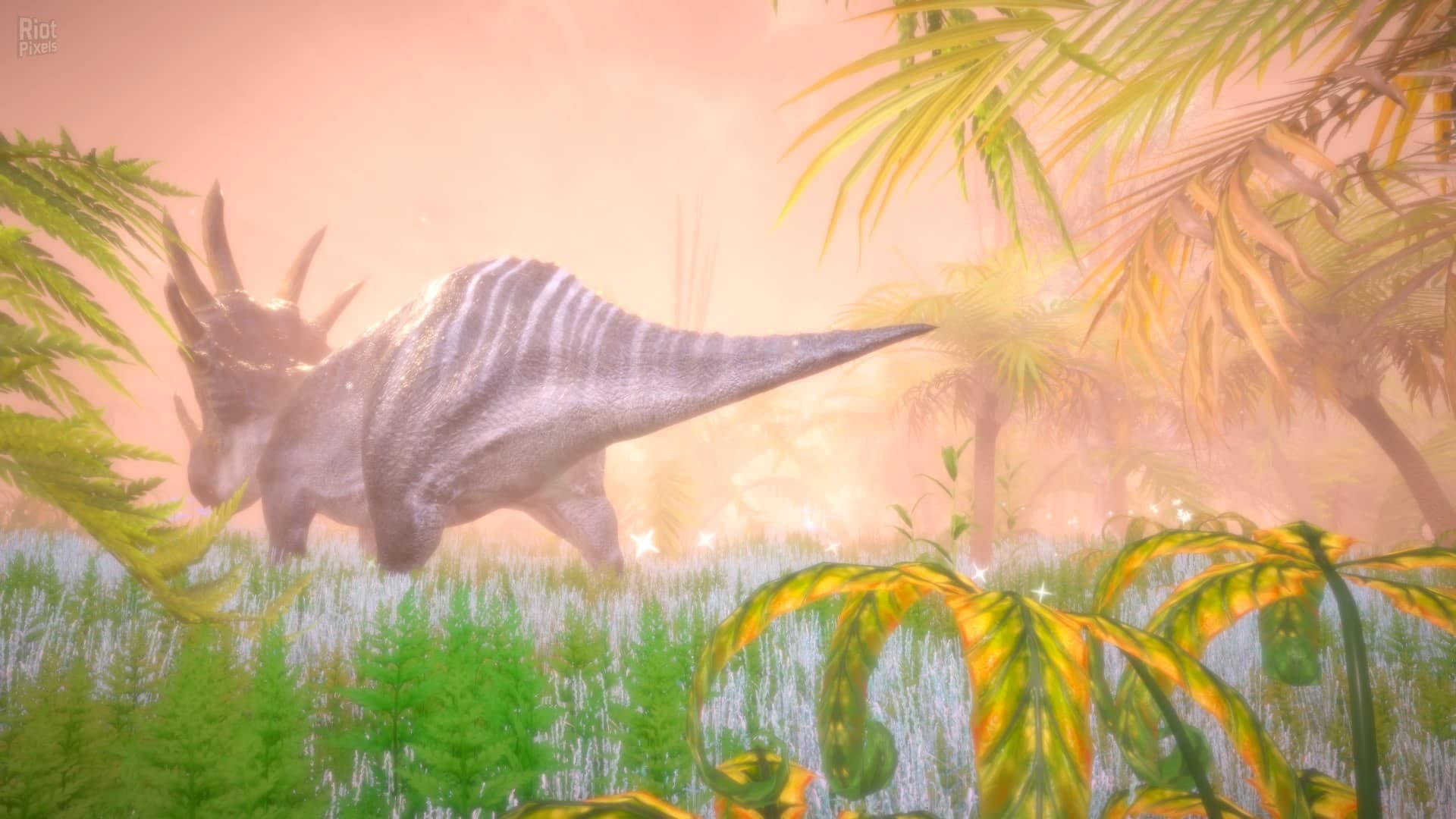 Hidden Treasures in the Forest of Dreams screenshot 2