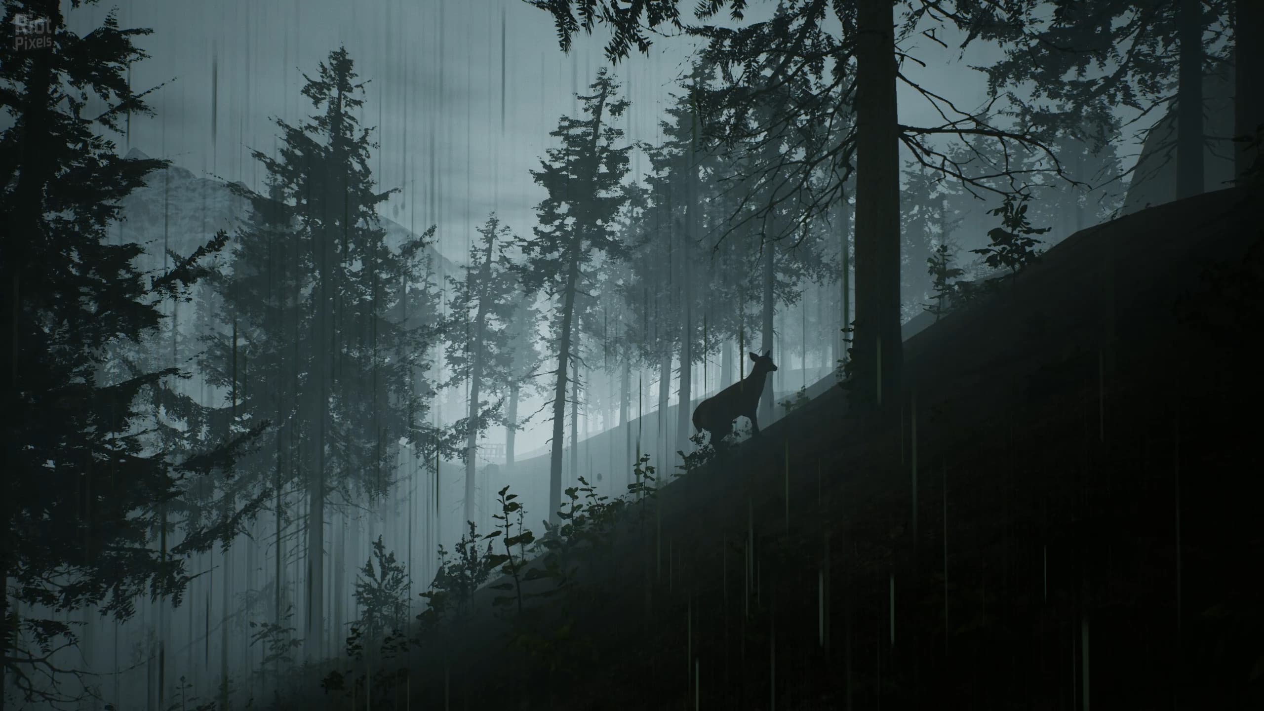Morels: The Hunt screenshot 3