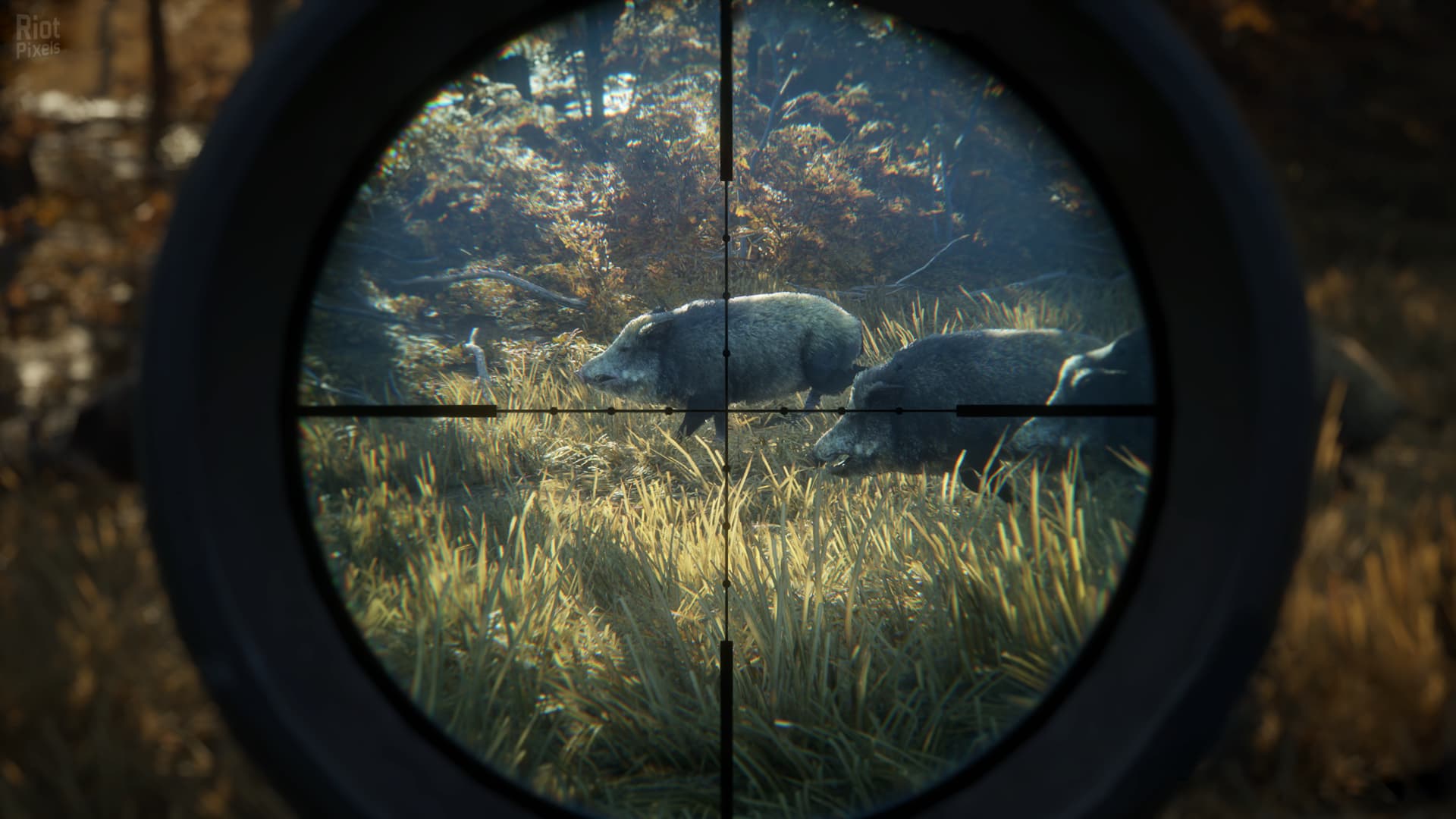 theHunter: Call of the Wild – Complete Collection – v3028143 + 66 DLCs + Windows 7 Fix screenshot 4