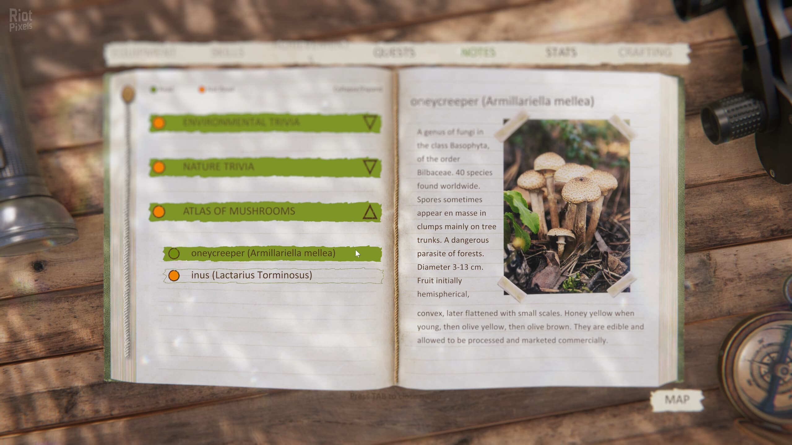 Forest Ranger Simulator screenshot 4