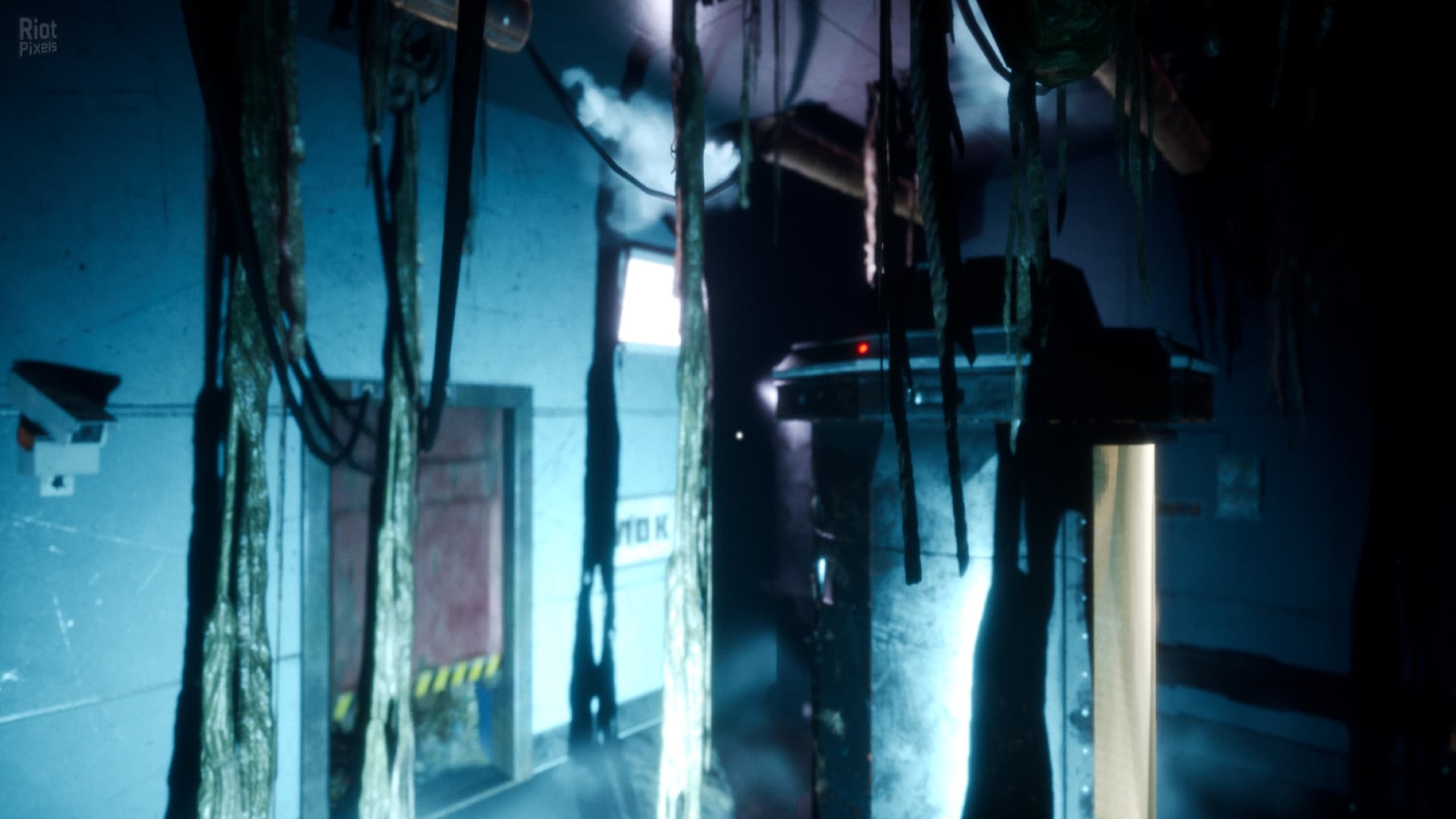 Nebraska screenshot 4