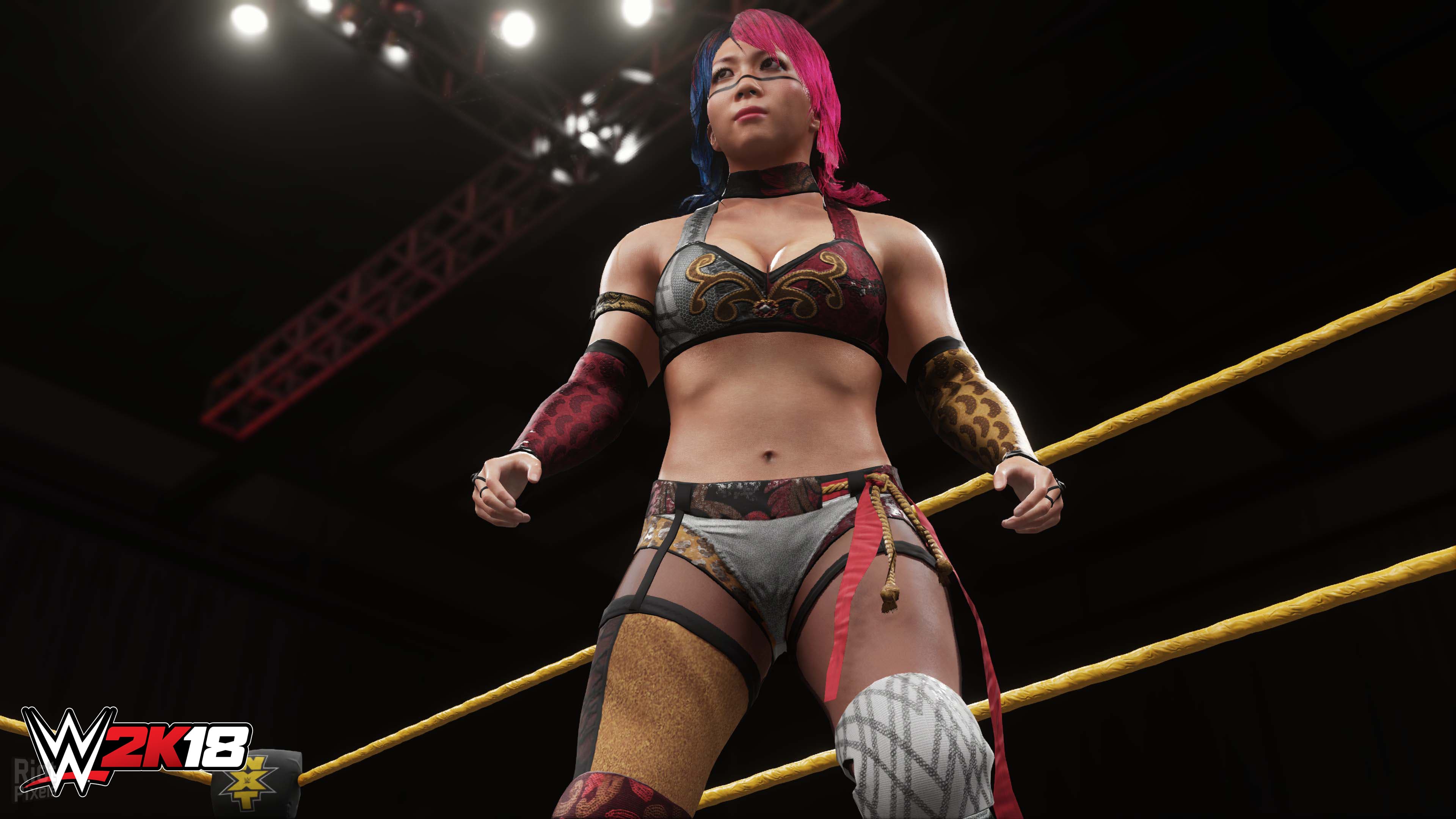 WWE 2K18 + 4 DLCs screenshot 2