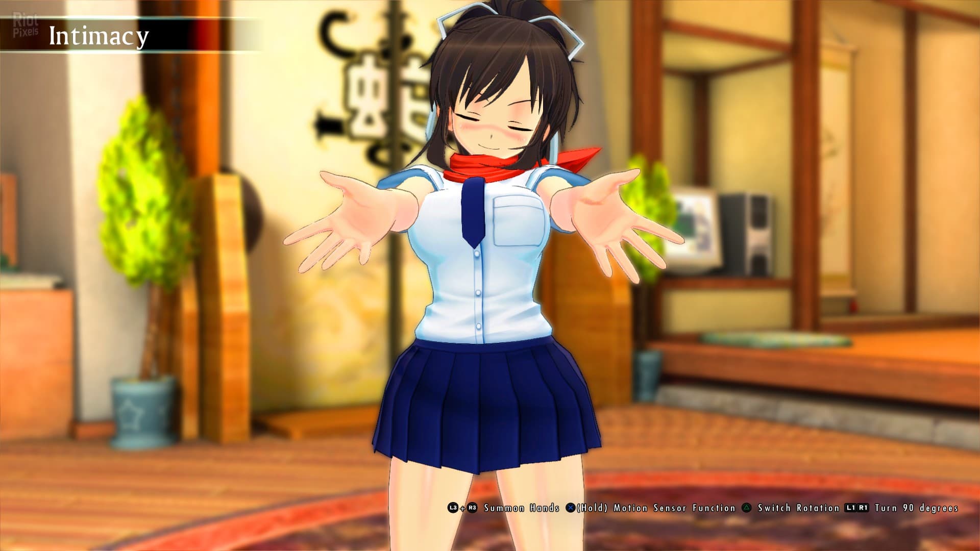 SENRAN KAGURA Burst Re:Newal – Tailor-Made Limited Edition screenshot 2
