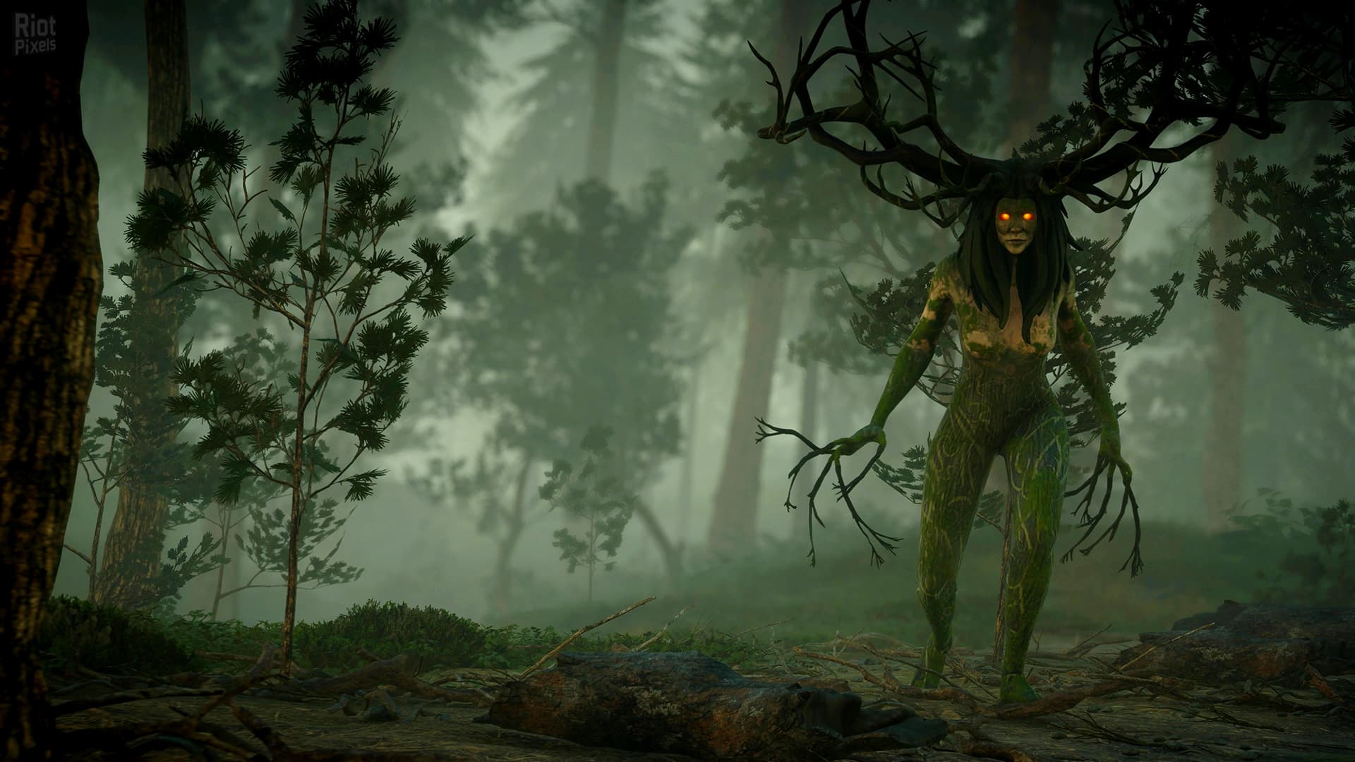 Ravenbound – v1.1 + 2 DLCs screenshot 1