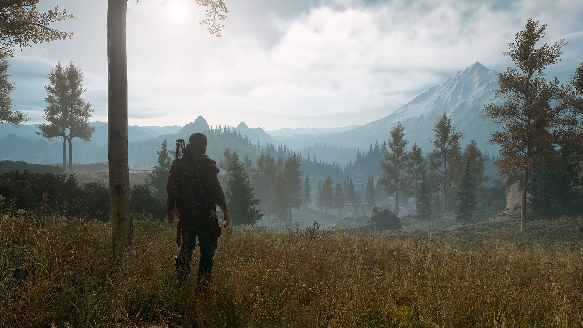 Days Gone – v1.08 + Broken Road DLC screenshot 6