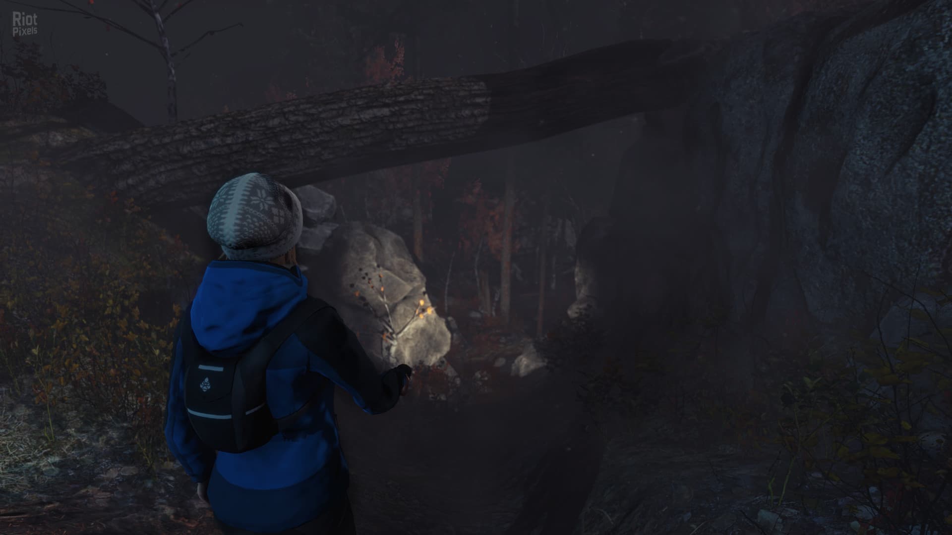 Through the Woods + HotFix screenshot 5