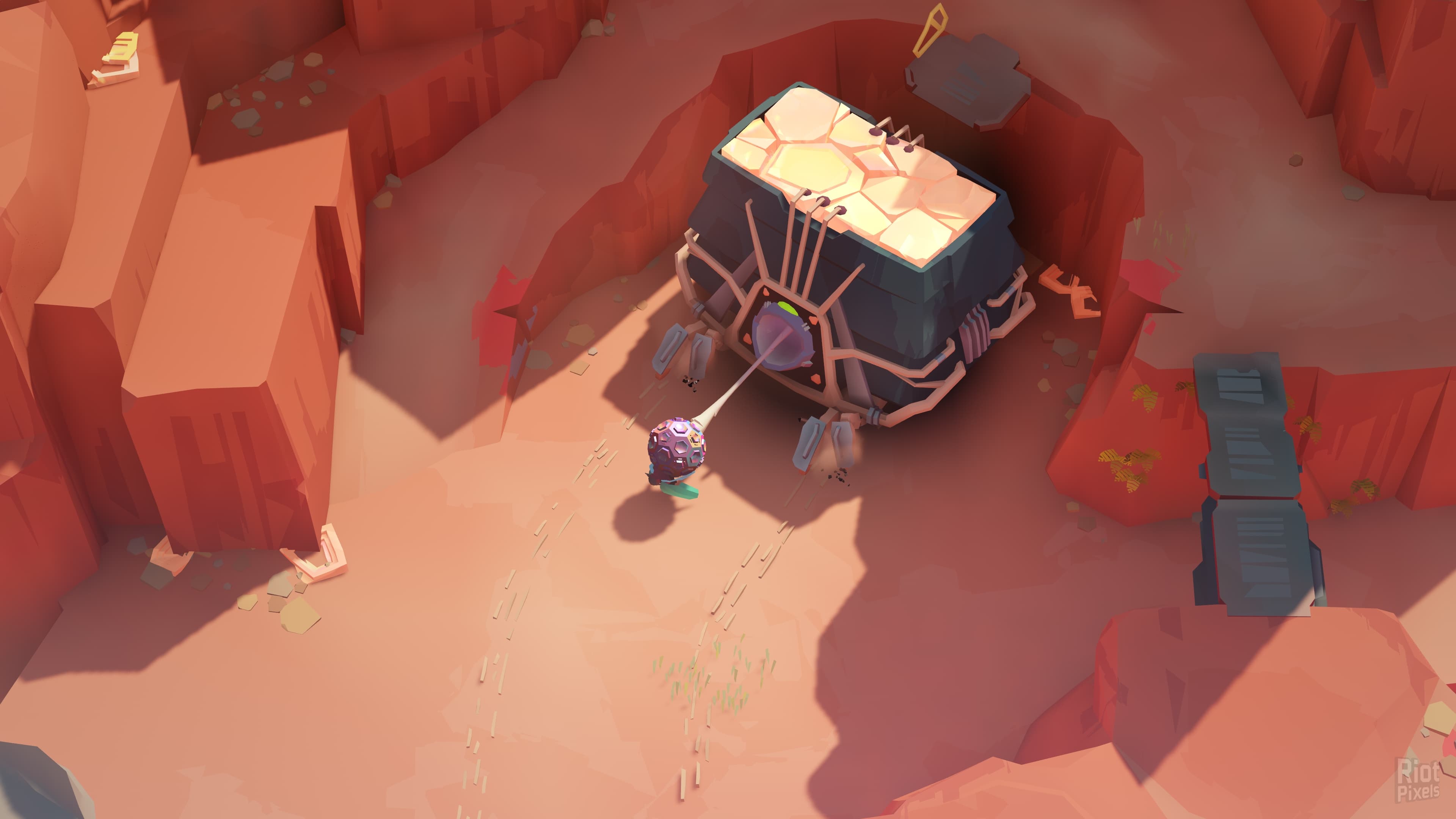 COCOON screenshot 4