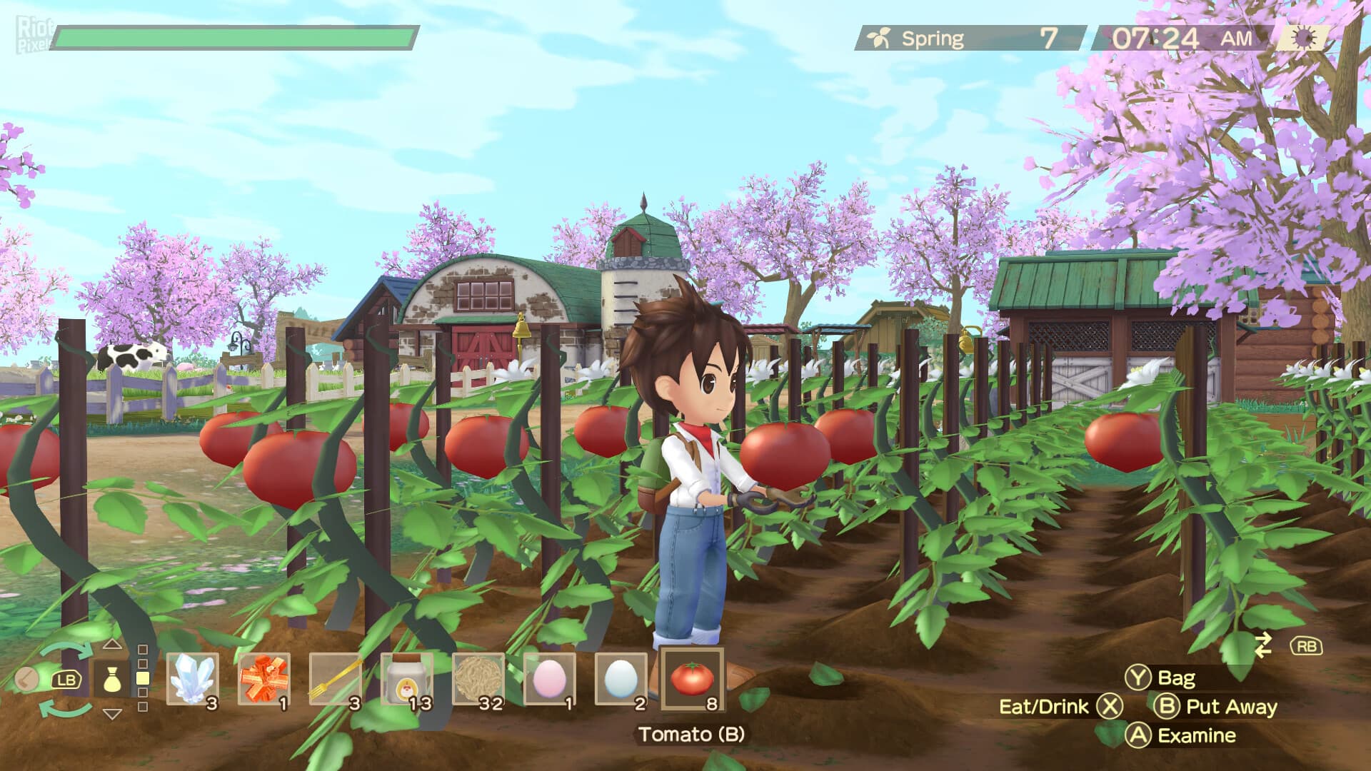 STORY OF SEASONS: A Wonderful Life + 2 DLCs + Windows 7 Fix screenshot 6