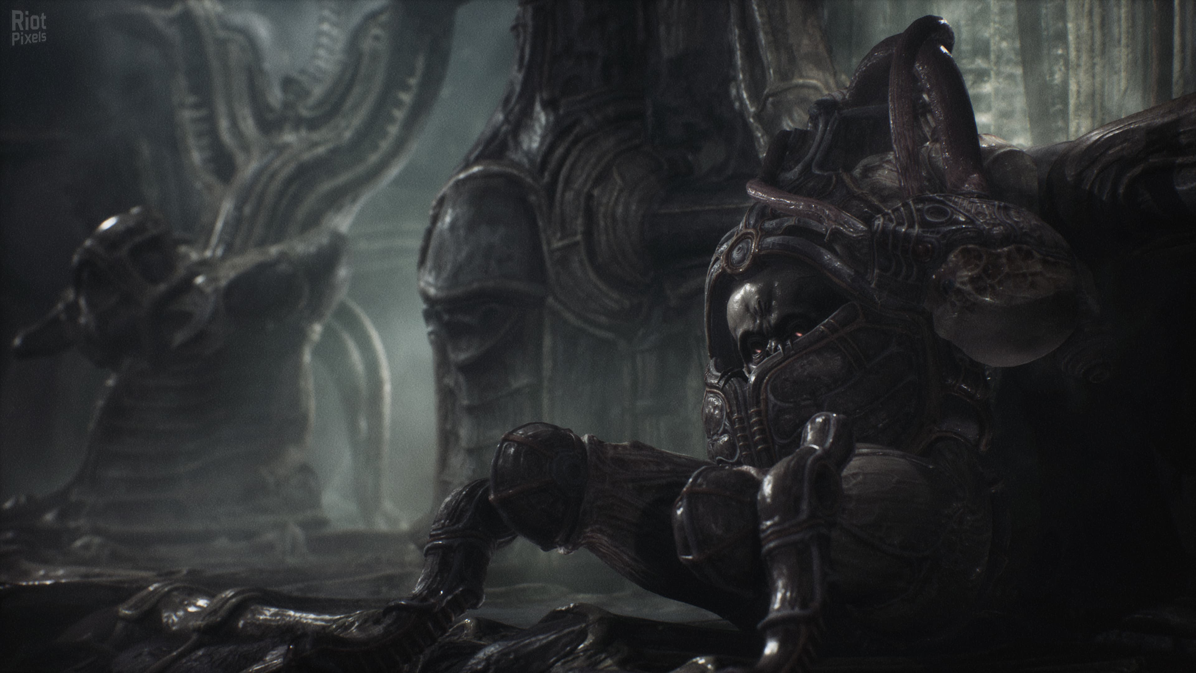 Scorn: Deluxe Edition, v1.2.2.0 + Bonus Content + Windows 7 Fix screenshot 2