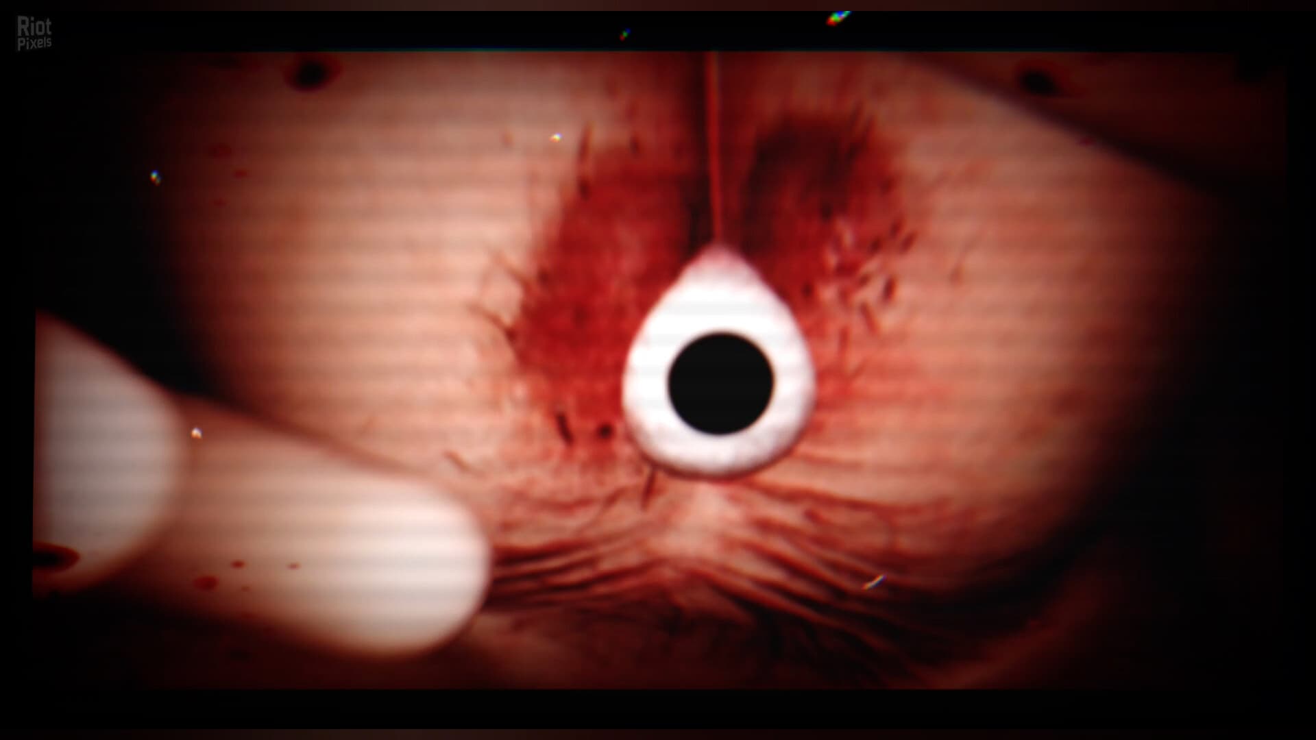 SHIRIME: The Curse of Butt-Eye screenshot 2