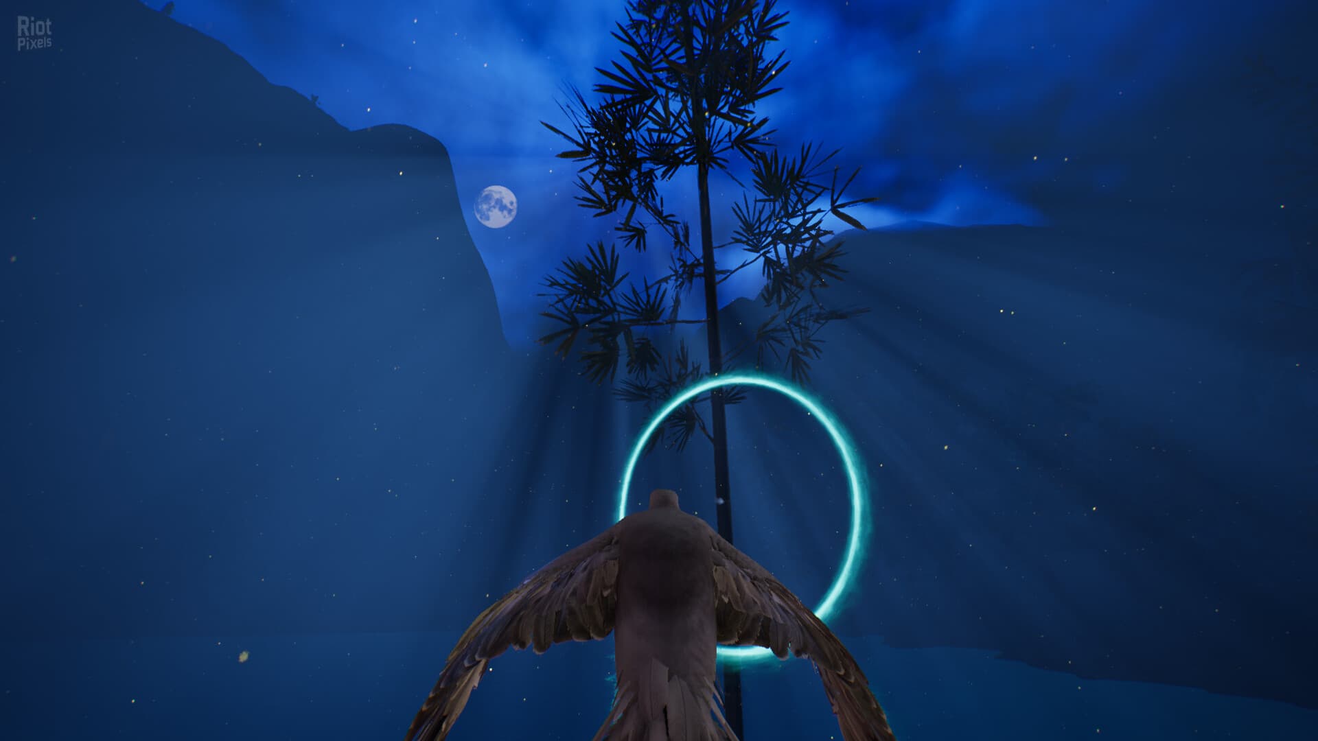 Flyto screenshot 3