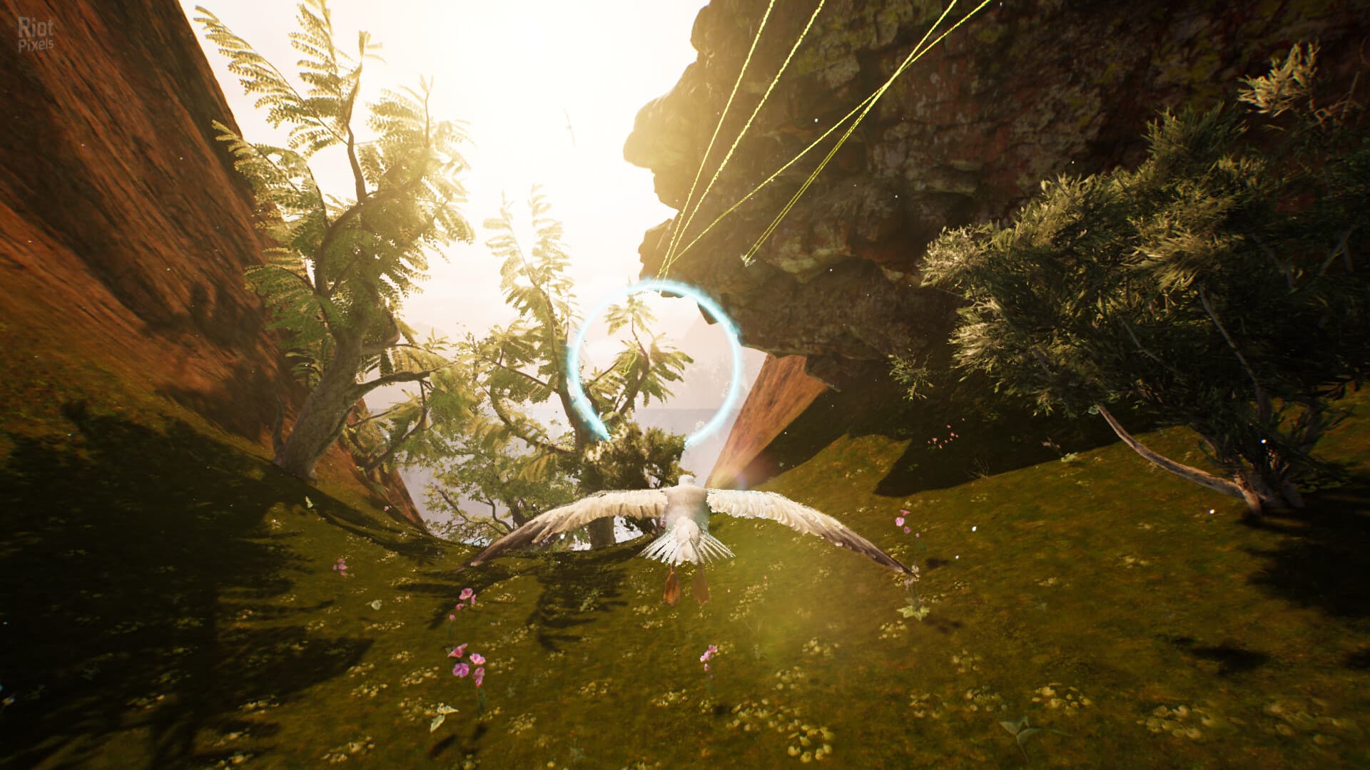 Flyto screenshot 1