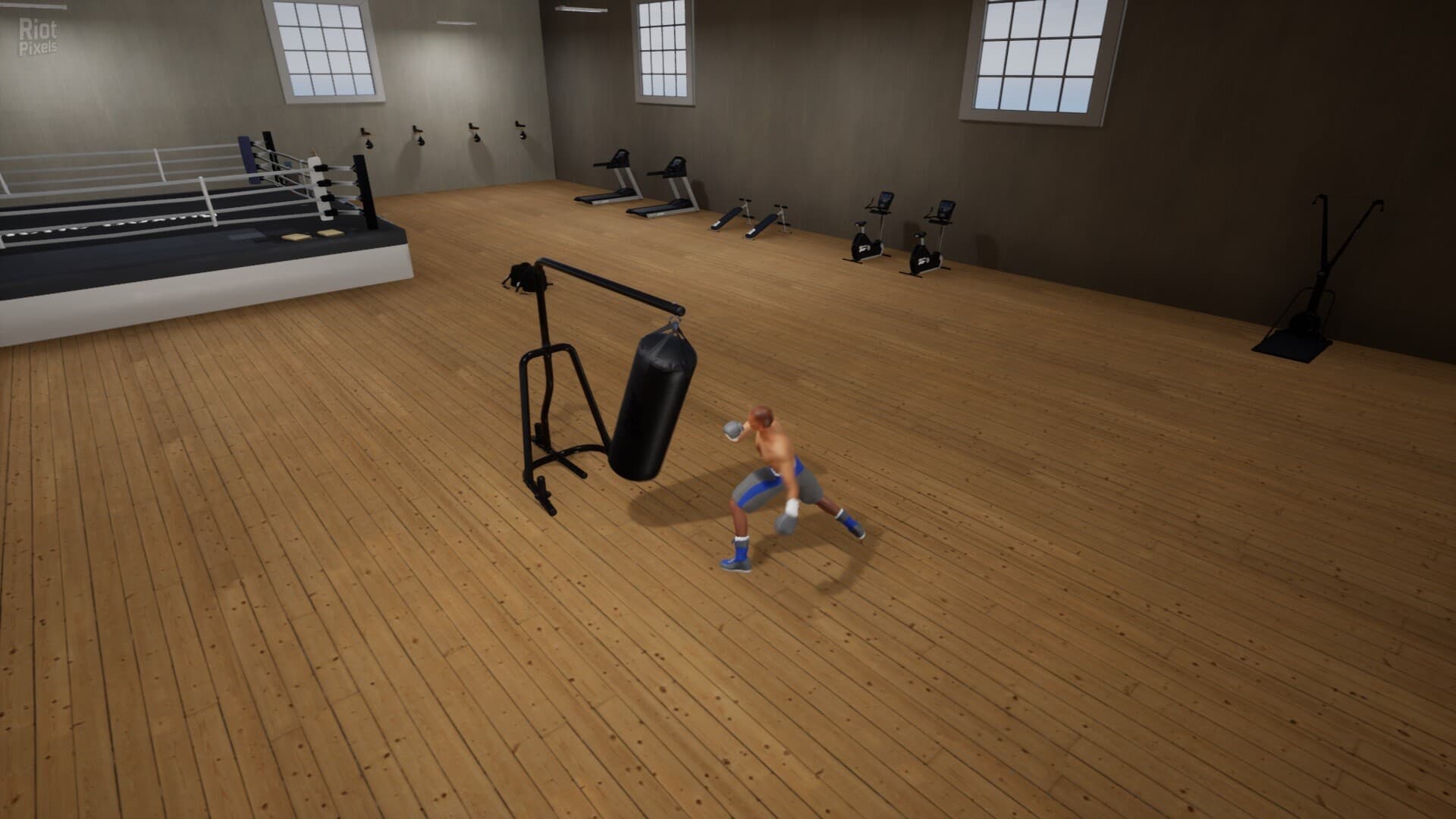 Tactic Boxing screenshot 4