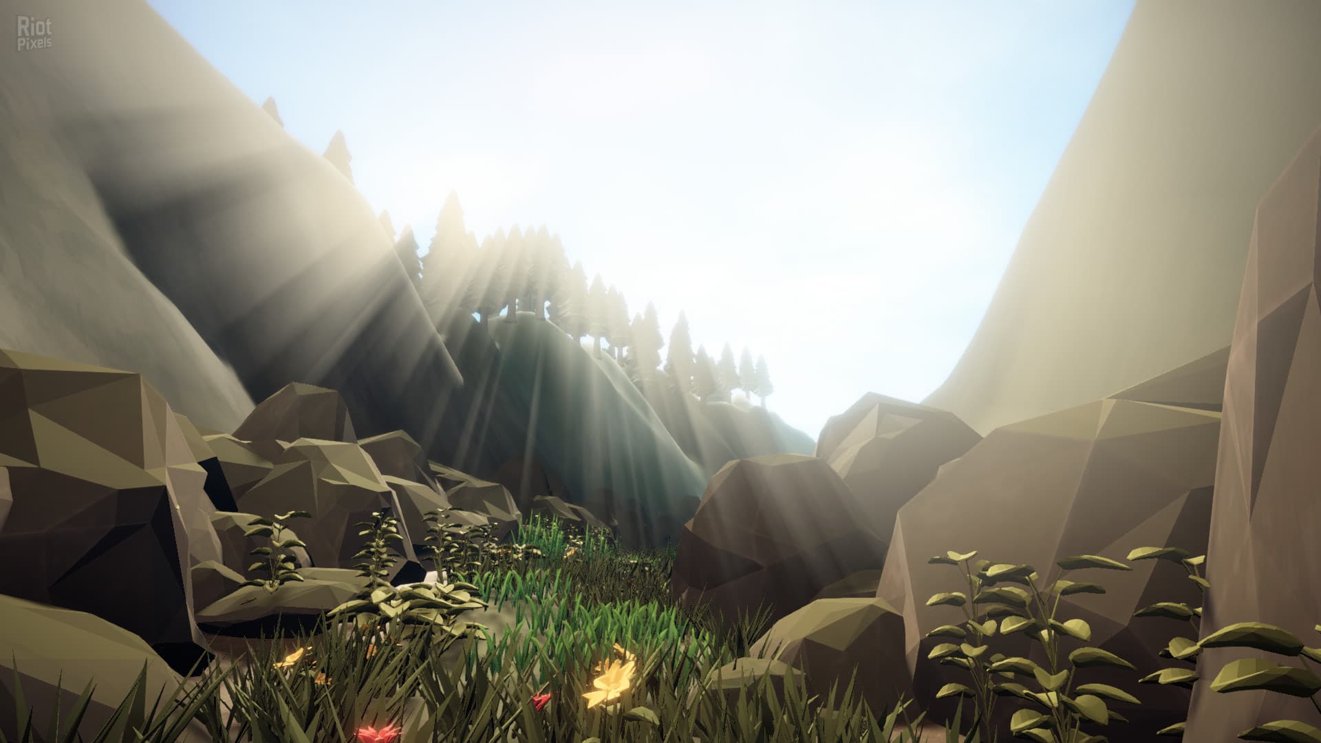 My Little Dog Adventure screenshot 6