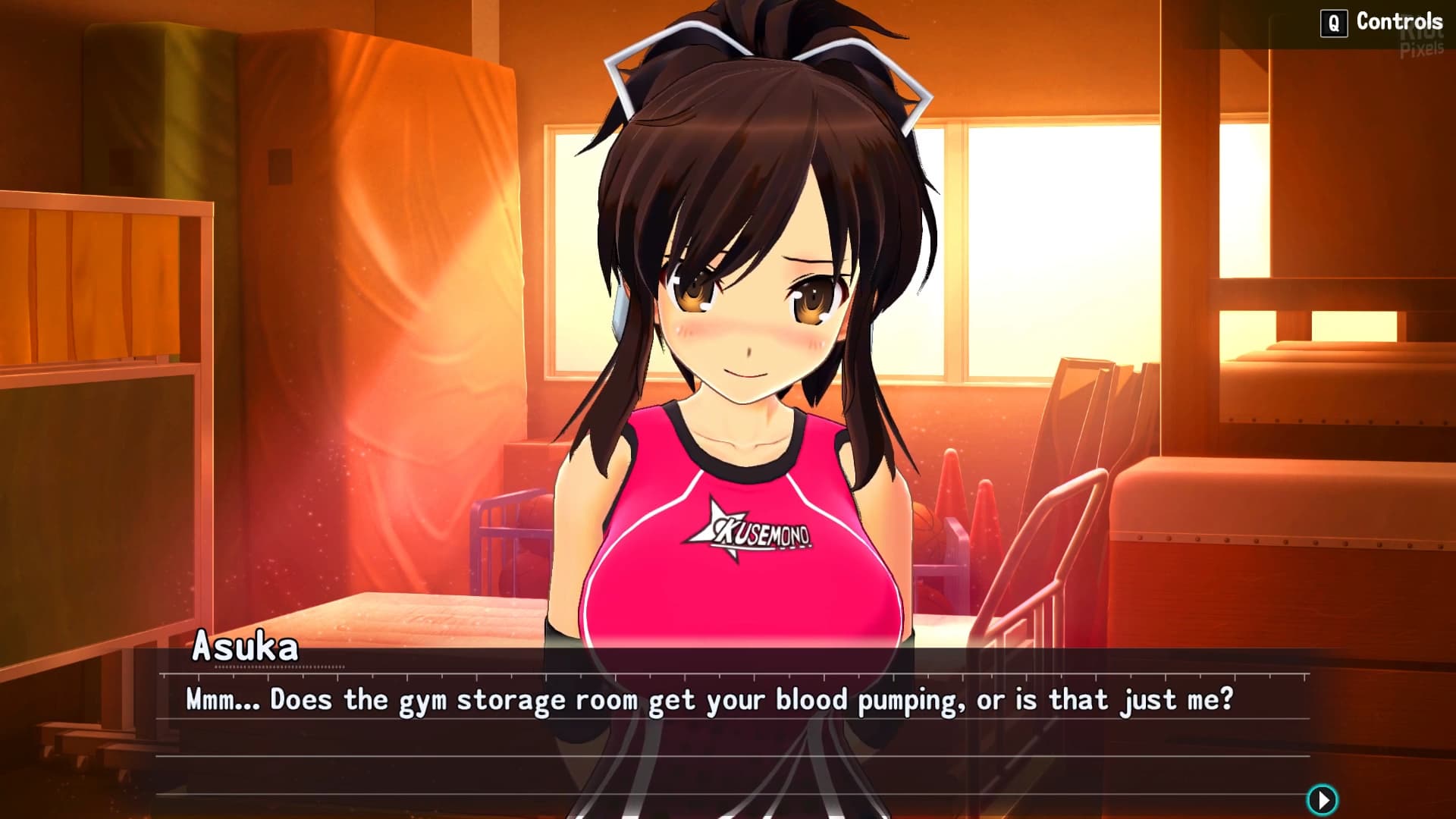 SENRAN KAGURA Reflexions + 20 DLCs screenshot 1