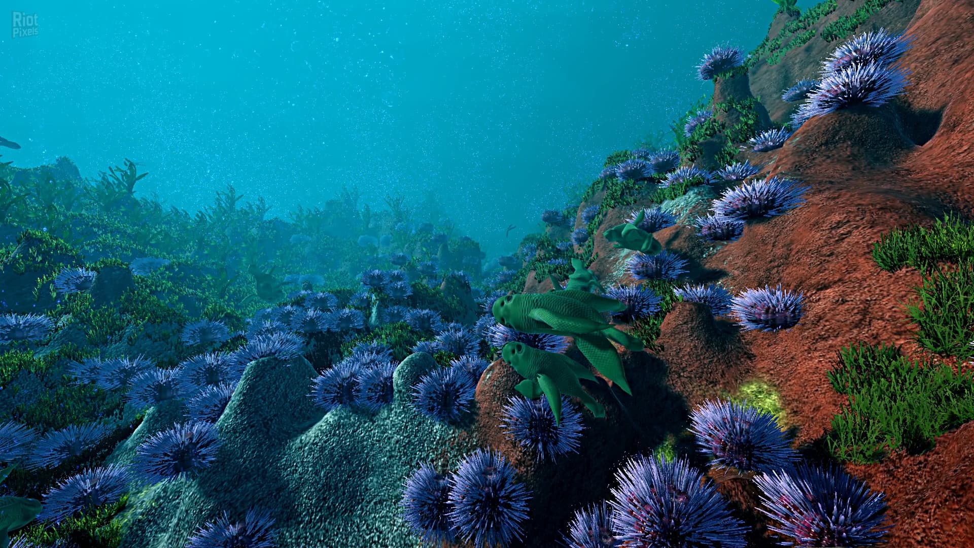 Ecosystem – v1.01 screenshot 5