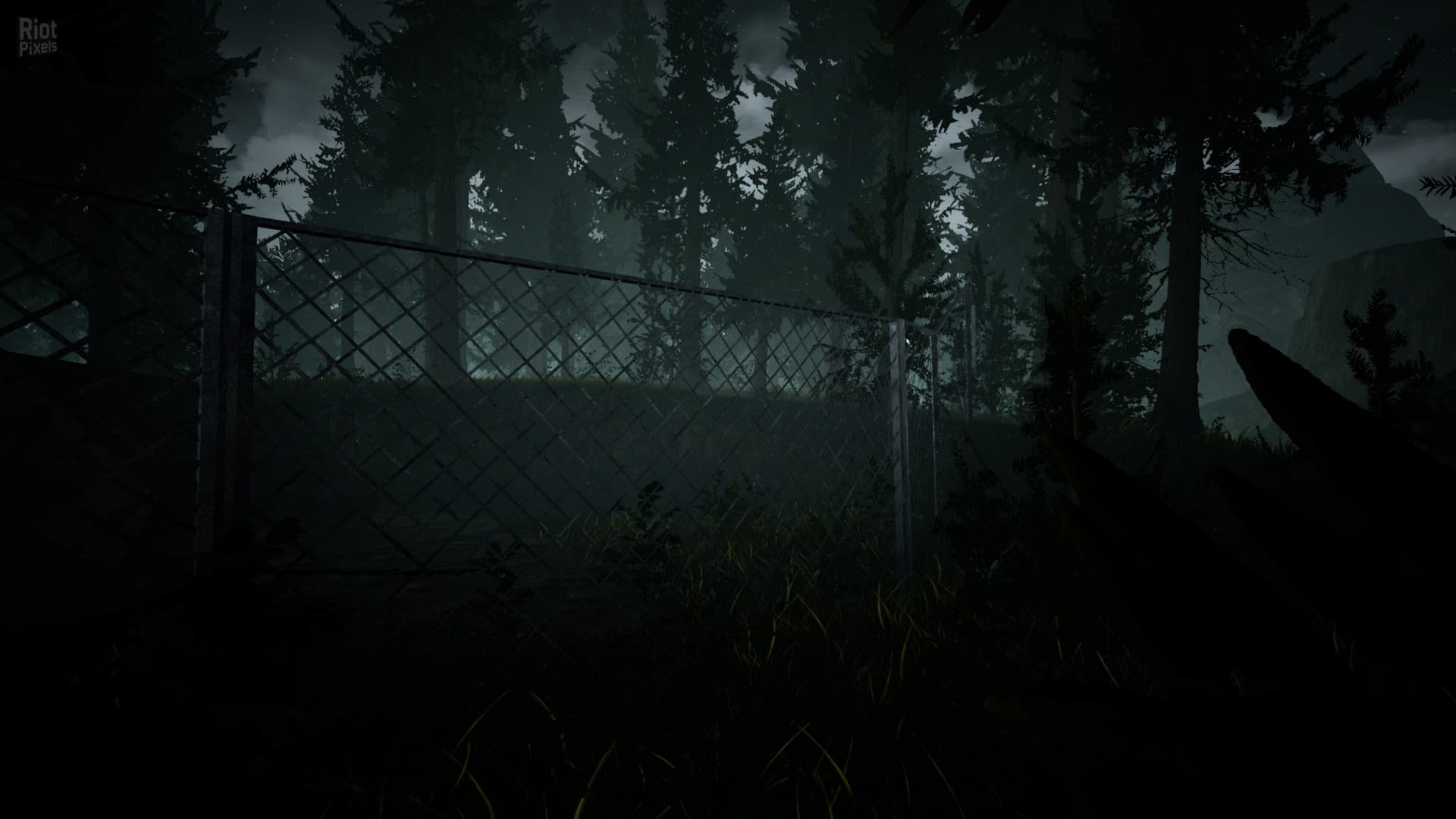Raw Footage screenshot 3