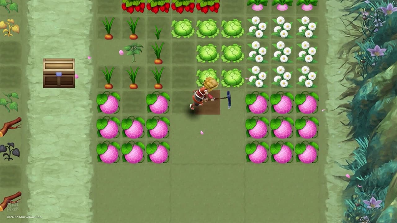 Rune Factory 3 Special screenshot 4