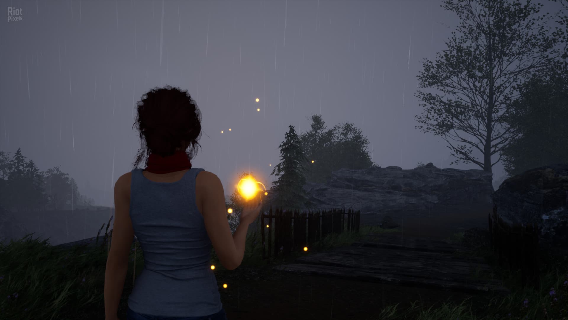 Fira screenshot 4