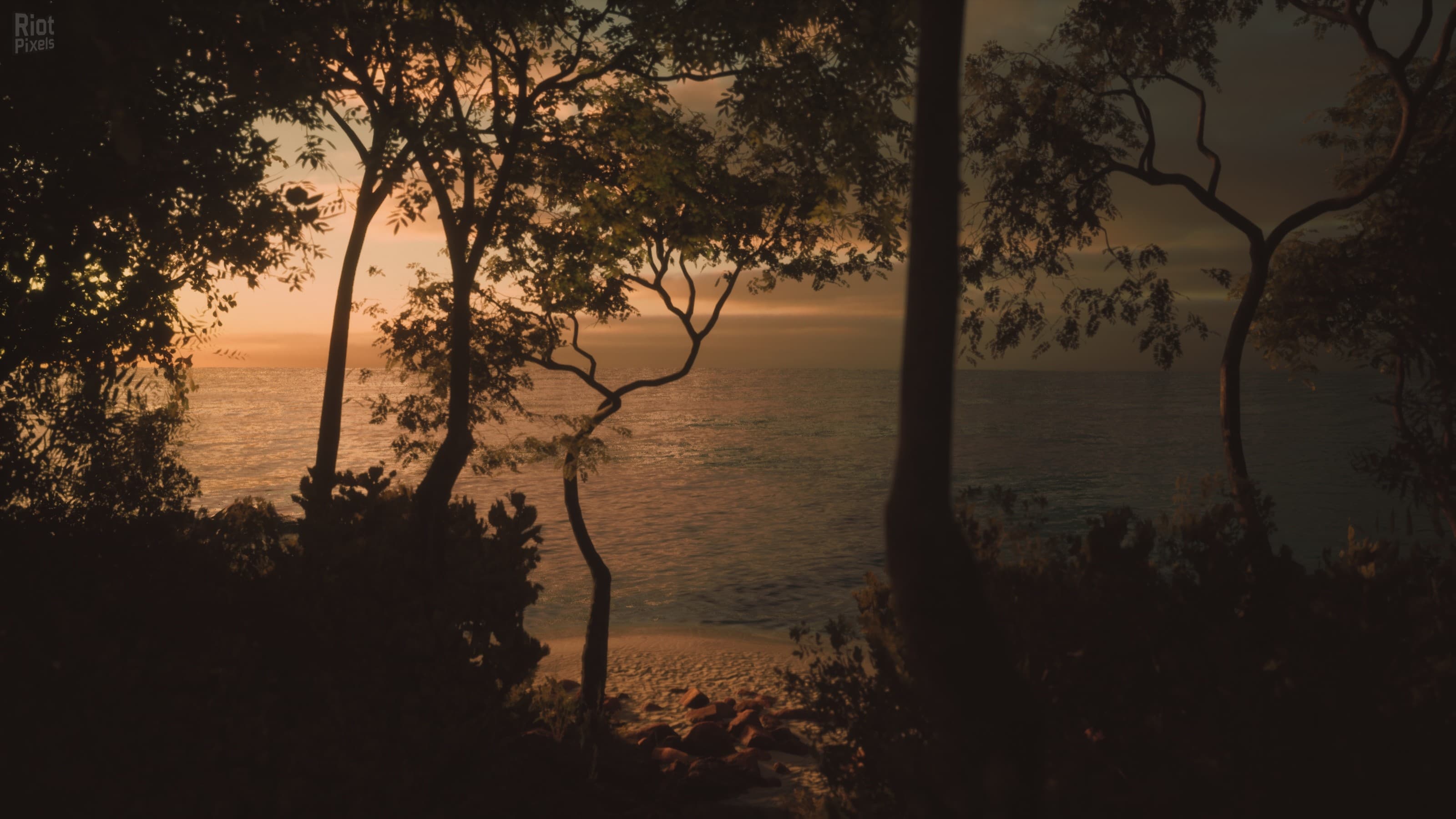 Lushfoil Photography Sim screenshot 6