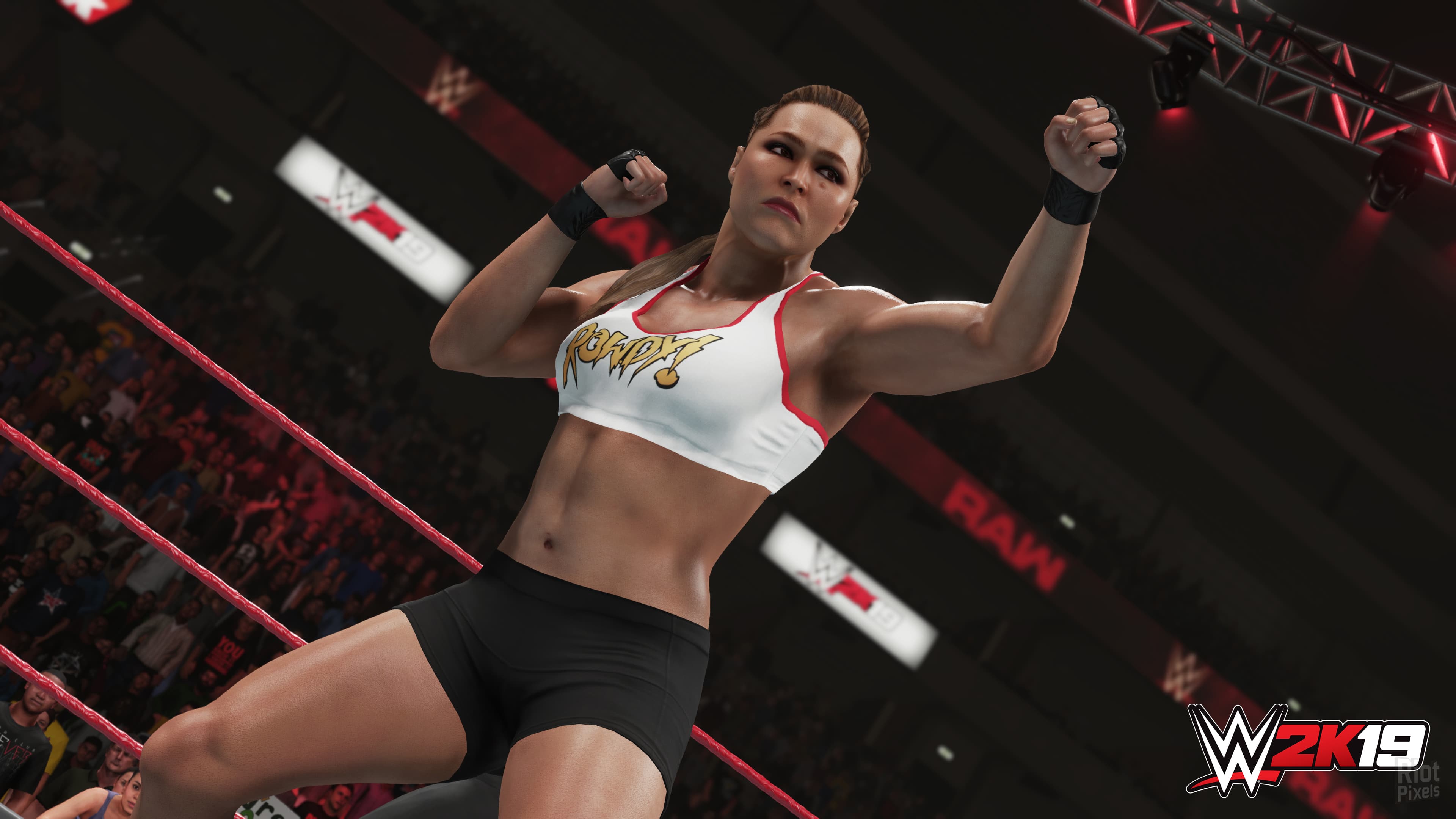 WWE 2K19: Digital Deluxe Edition + 4 DLCs screenshot 1