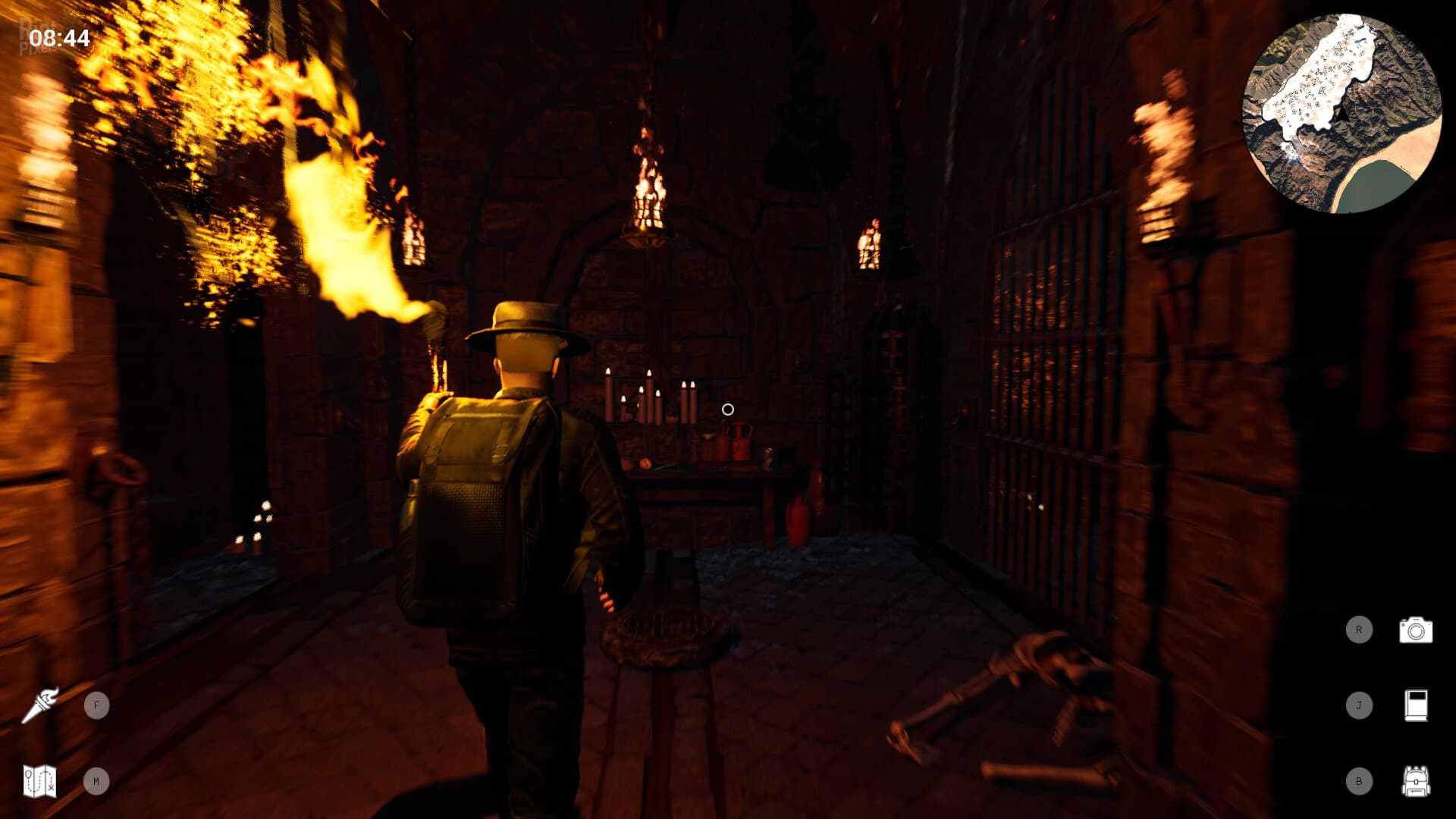 Wild Explorer screenshot 2