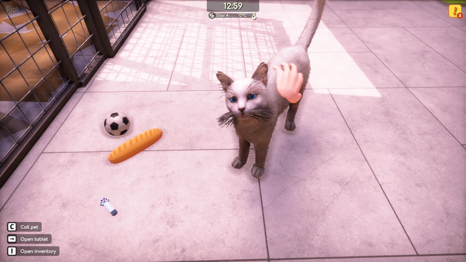Animal Shelter 2 – v1.3.0 + 3 DLCs screenshot 2