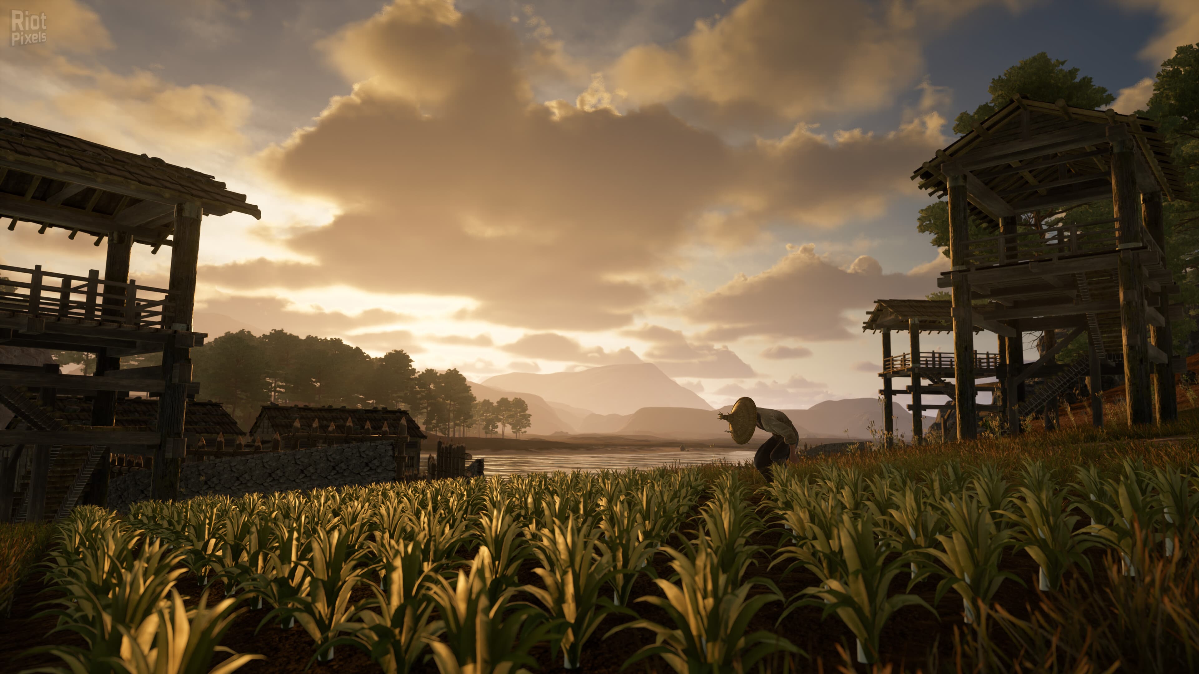Sengoku Dynasty – v1.2.0.0 + Bonus Content screenshot 5